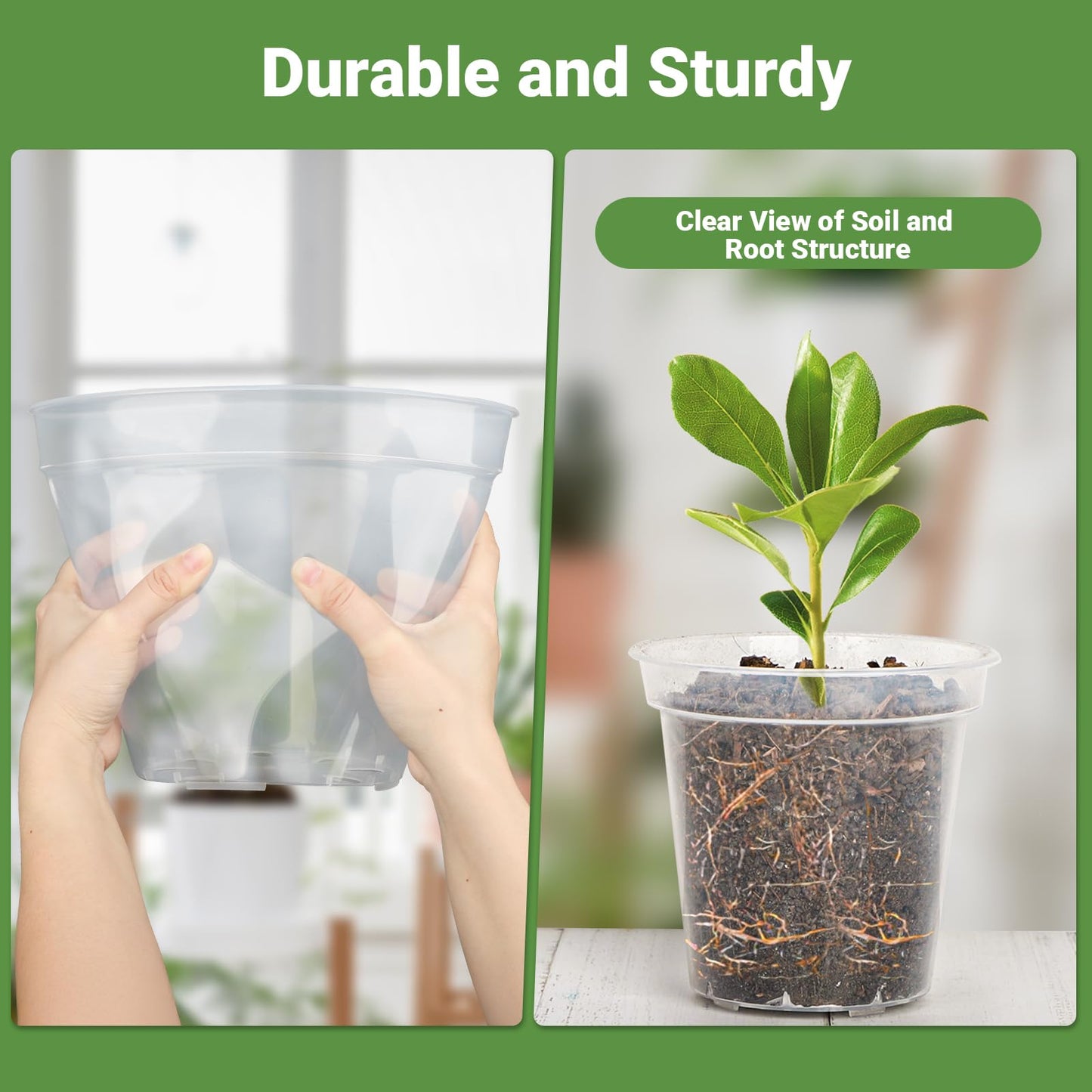 GREANER Clear Plant Pots, Plastic Planters for Indoor Plants, Seed Starting Pot with Drainage Holes, 4/5/6/7/8 Inch(10 Packs)