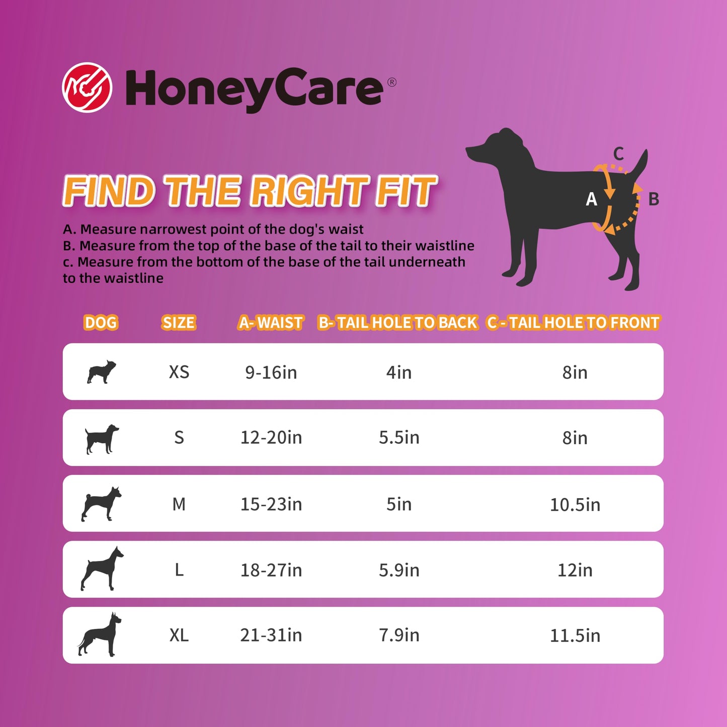 HONEY CARE All-Absorb Disposable Female Dog Diapers M Size, Improved Bigger Size, 36 Count, Super Absorbent, Breathable, Wetness Indicator (Pack of 1, 36 Count Total)