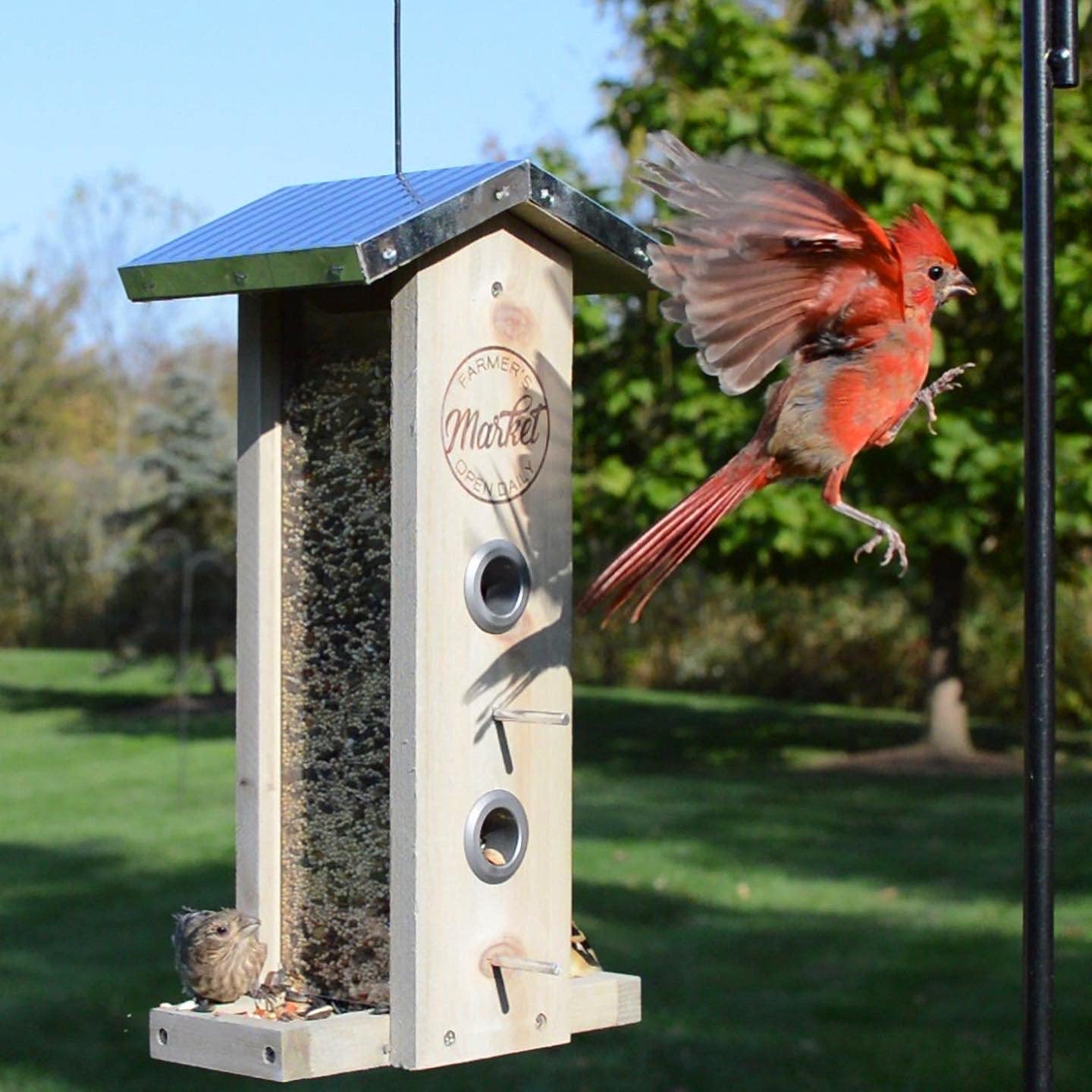 Wild Wings WWGF1-DECO Galvanized Weathered Vertical Cedar Bird Hopper Feeder