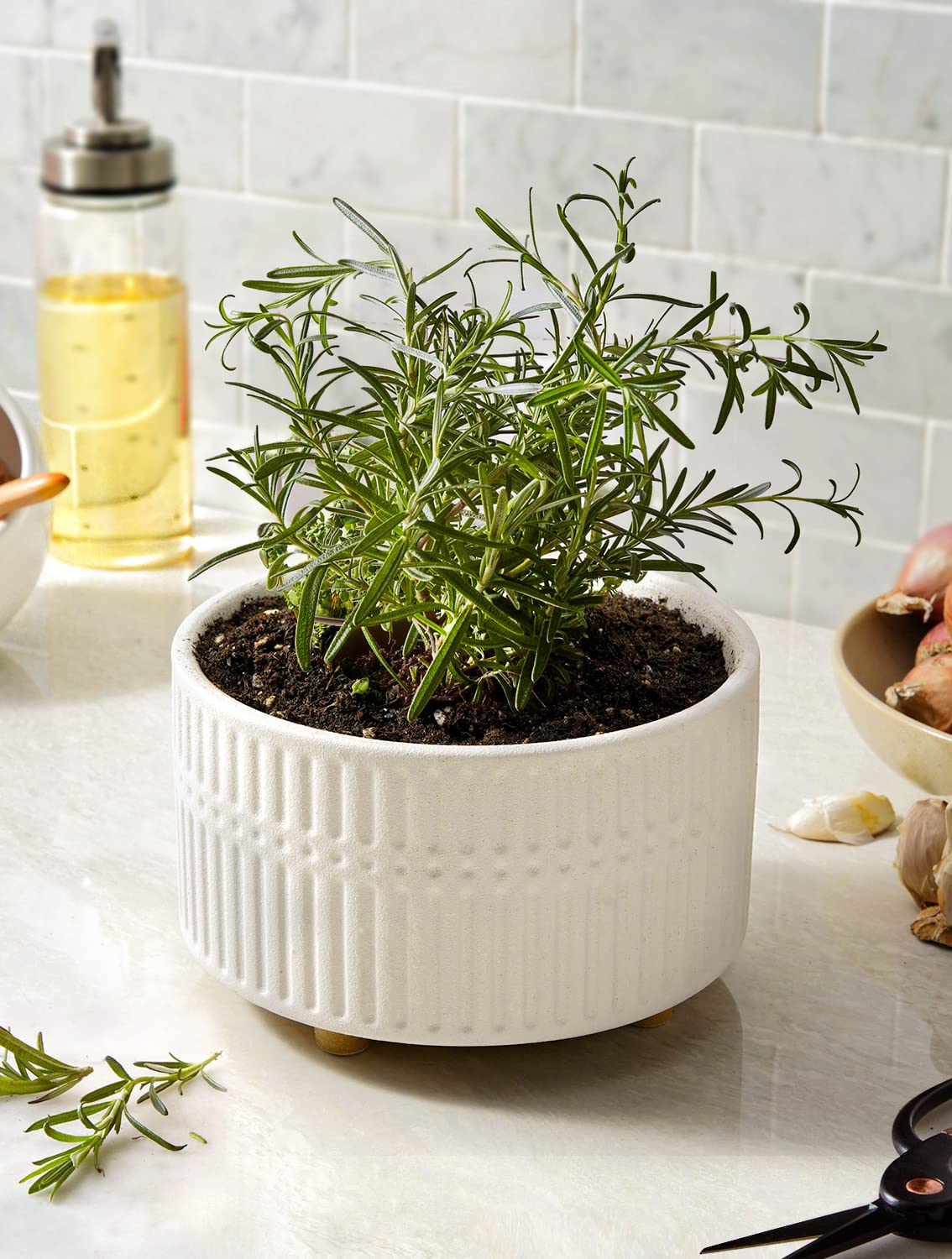 LE TAUCI Succulent Pot, Set of 2, 6.5+8 Inch Ceramic Plant Pots, Shallow Planters for Indoor Plants, Plant Pots Indoor with Drainage Hole, Modern Round Pot Plante Interieur, Gifts for Mom, White