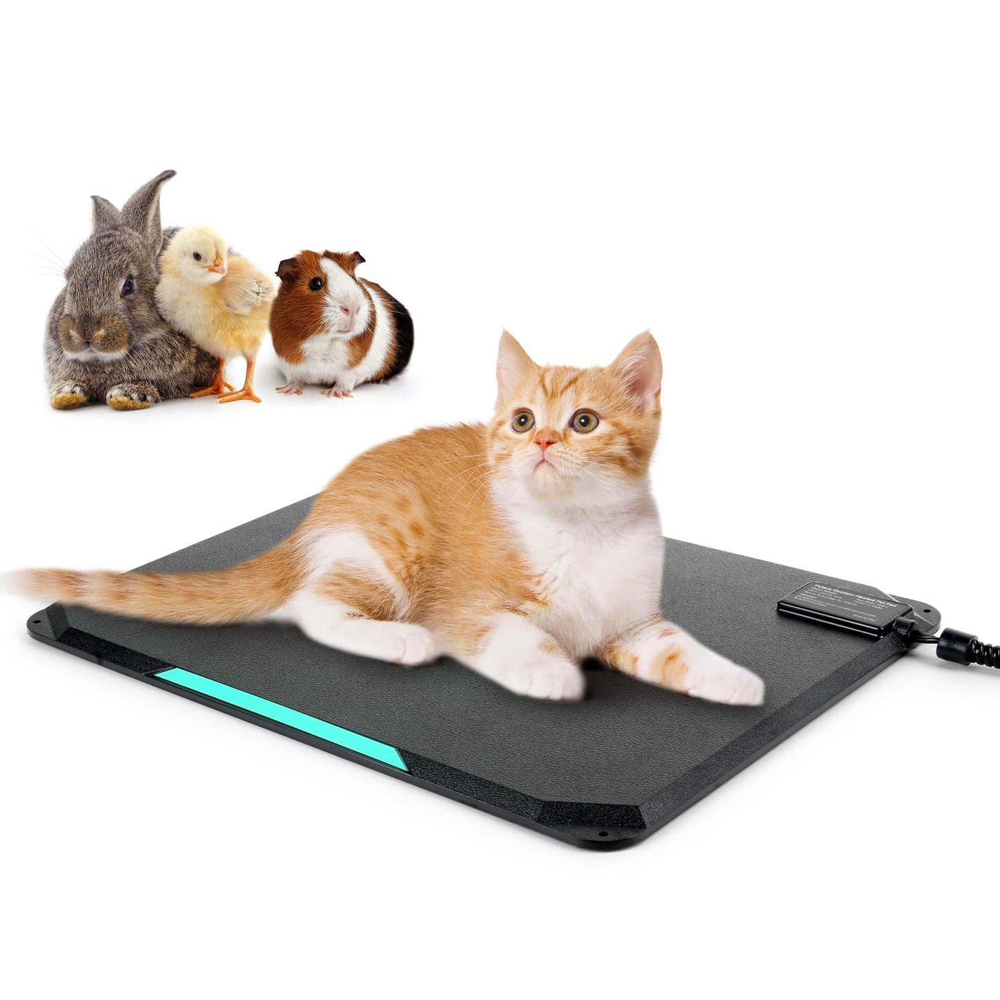 Petace Outdoor Heated Pad for Small Animals, Anti-Bite & Waterproof Cat Heating Pad, Indoor Pet Warmer for Cat Houses/Rabbit Hutches/Chick Brooders in Extreme Weather, 16.5" x 11.8", 35 Watts
