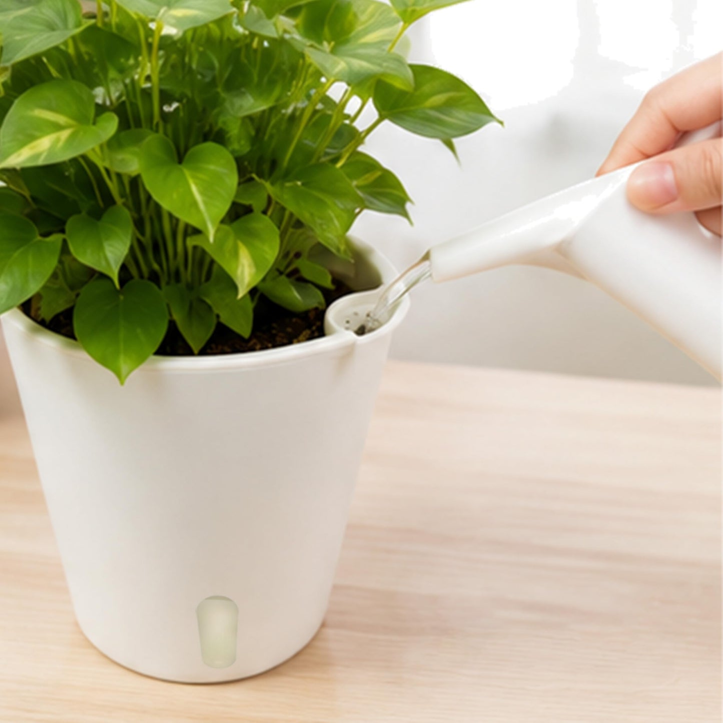 SYITCUN 5in Self Watering Planter 5 set,Plastic Self Watering Planters with Visual Water Level Window,Plant Pots Indoor,Window Box Planter,decor Planter Pot for Aloe,Herbs,Violets,Succulents-White