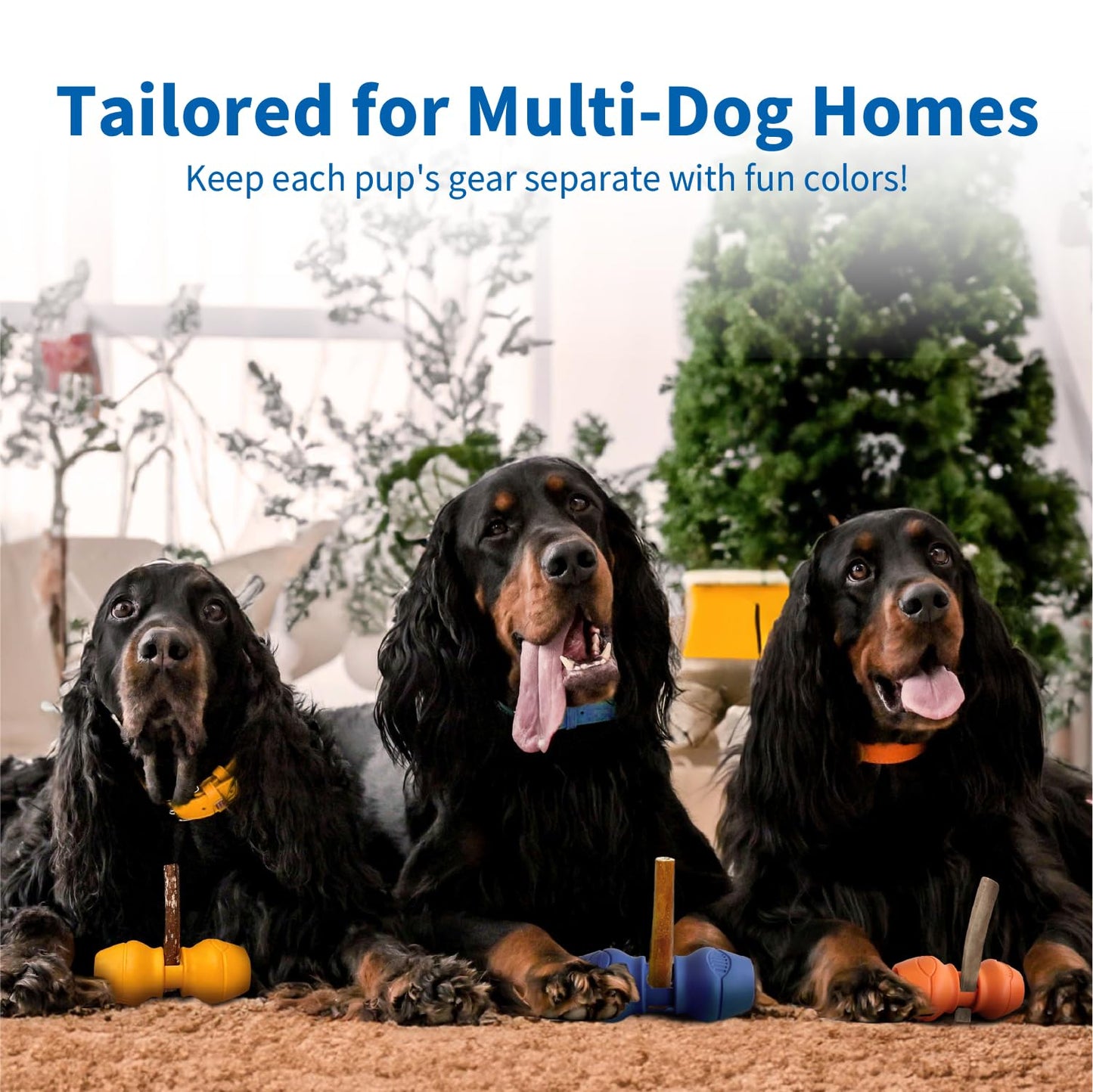 Chewise Bully Stick Holder for Dogs, BPA-Free Safety Dog Chew Holder to Prevent Choking, Fits Various Bully Sticks and Dog Sizes