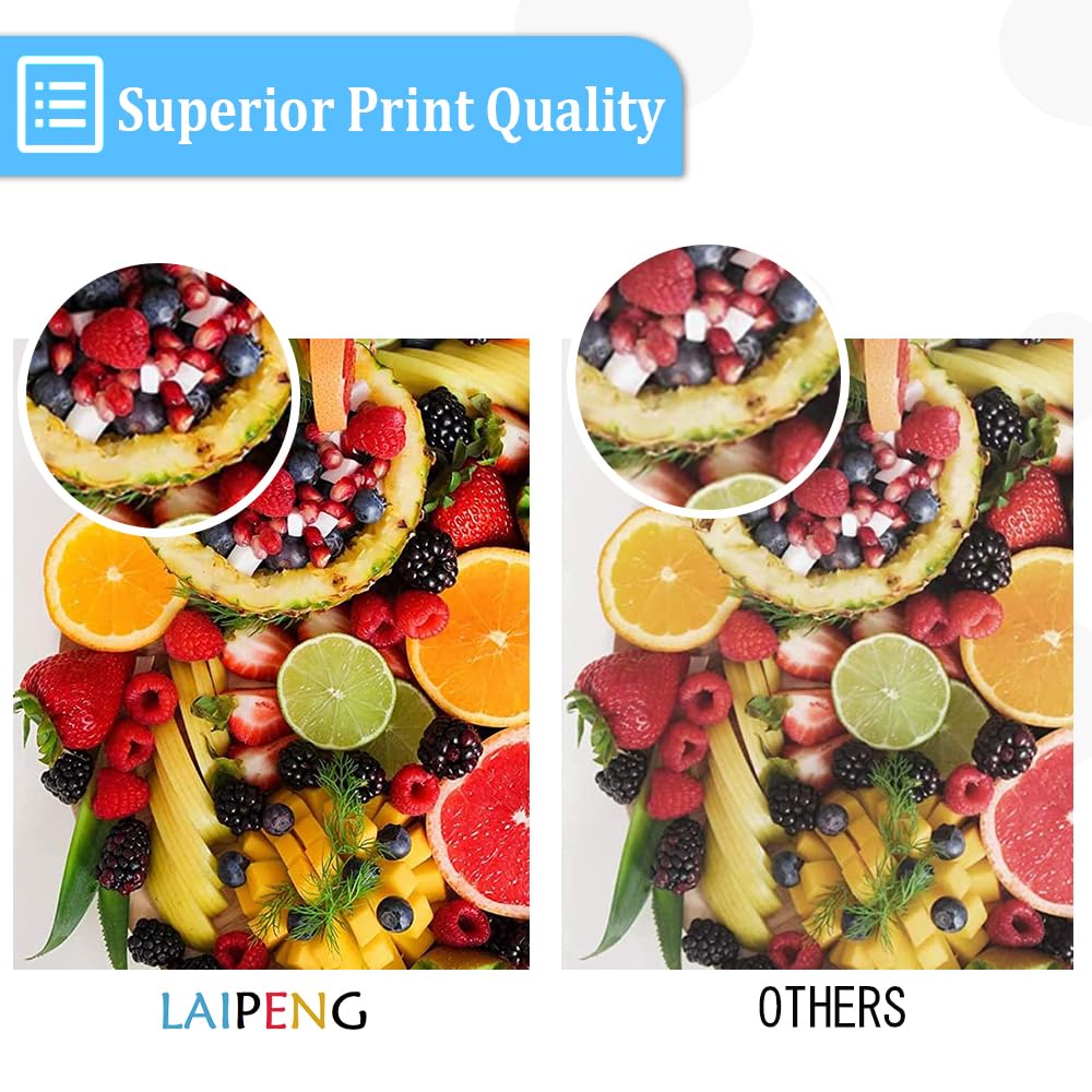 Laipeng Remanufactured 67XL Ink Cartridges Replacement for HP 67 67 XL 67XXL for Envy 6055 6052 6058 6075 Pro 6455 6452 6458 6475 DeskJet 1255 2752 2755 4140 4152 4155 4158 Printer (Black + Tri-Color)