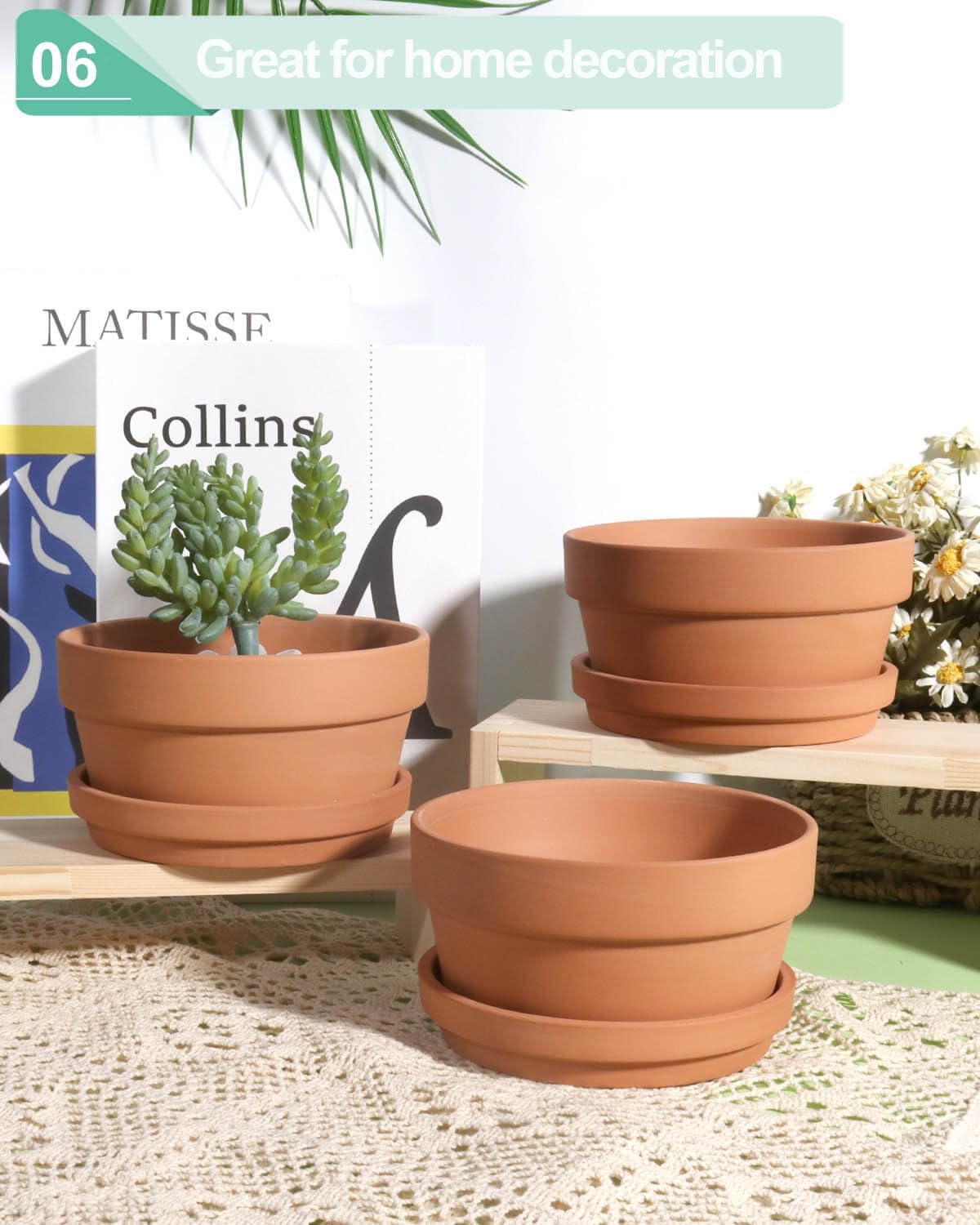 5.7 Inch Terracotta Shallow Succulent Pot - 6 Pack Terra Cotta Clay Pots with Saucer, Cacuts Terra-Cotta Indoor and Outdoor Planters with Drainage Hole