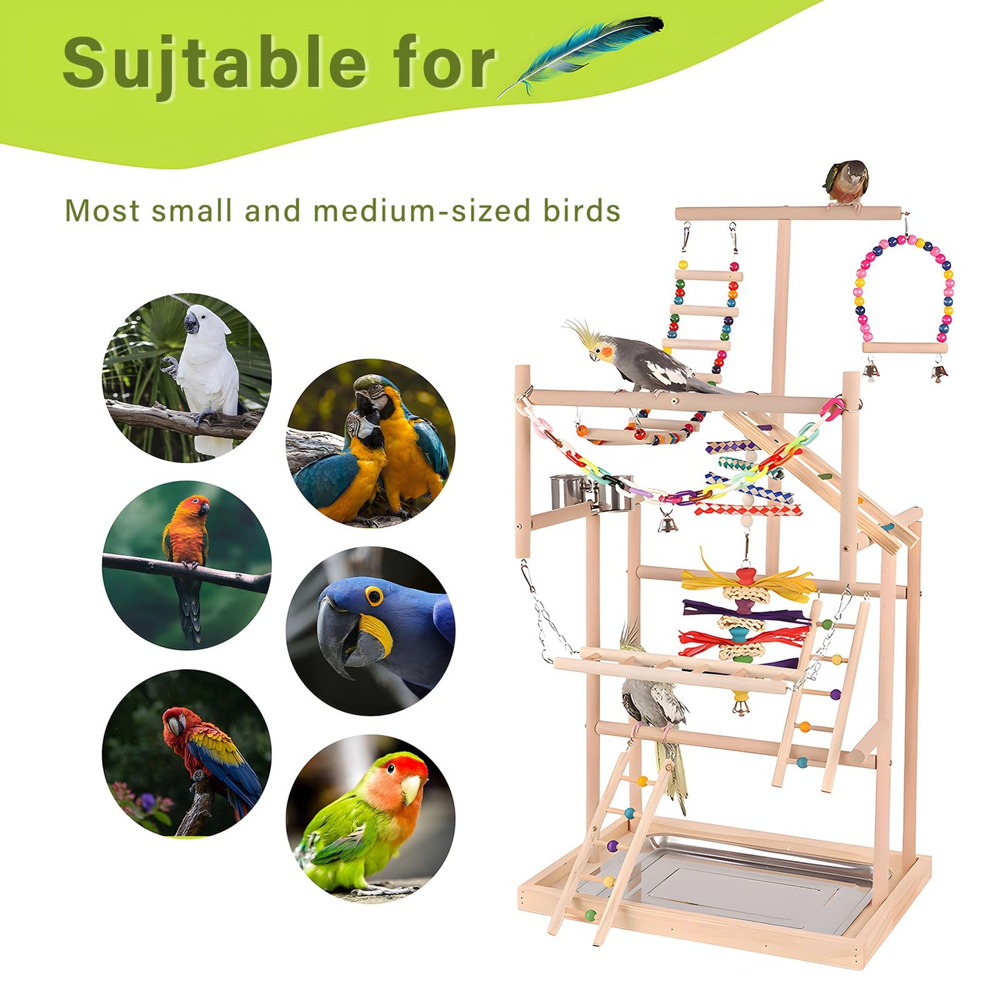 ASDJAKZP Bird Playground, Bird Stand, Pet Bird Parrot Playground, 4 Layers Pet Parrot Playstand with Exercise Toys Swings Feeder Cups, Bird Play Stand Wood Perch Gym Playpen Ladder for Cockatiel Parakeet