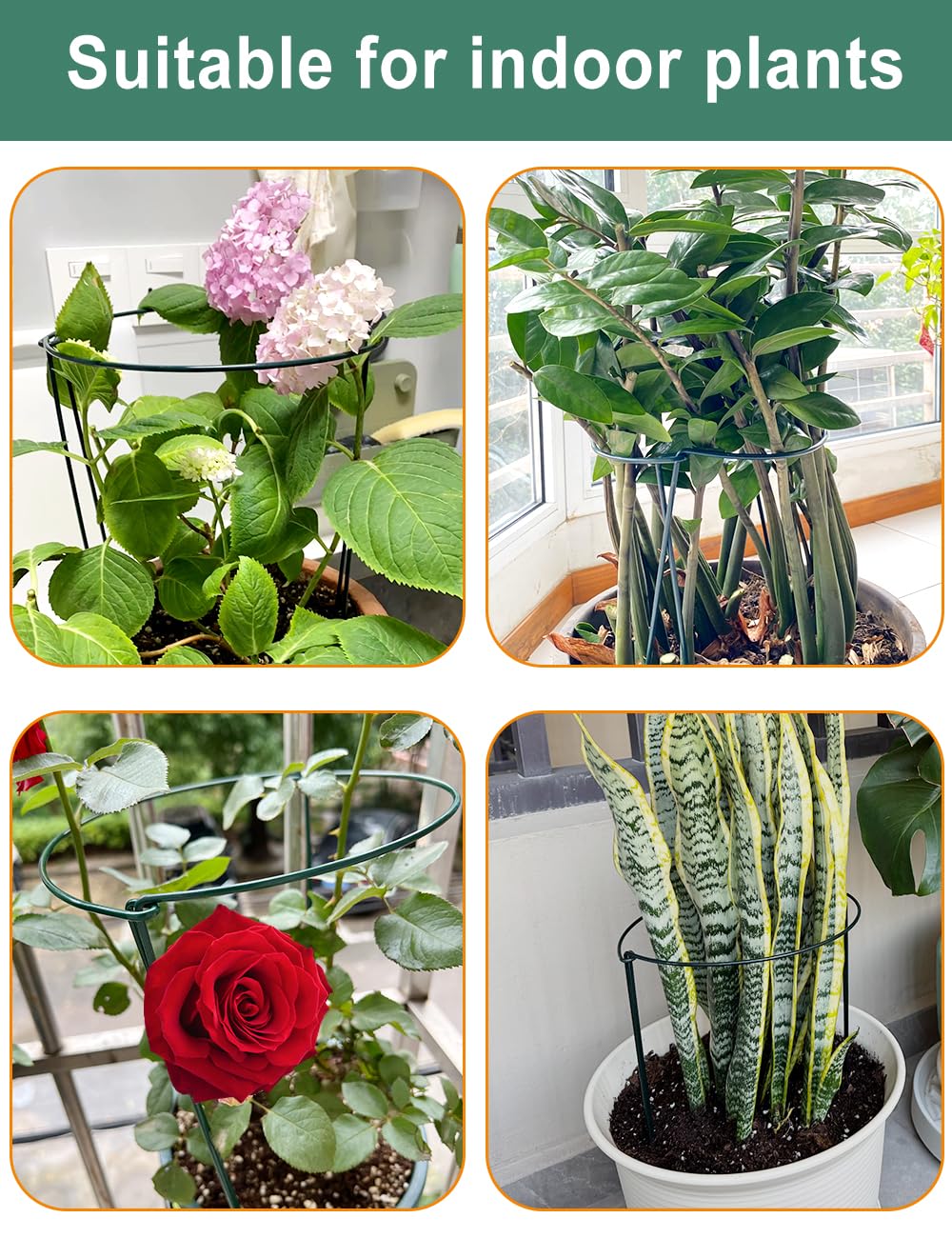 8Pack 56×25cm Plant Support Stakes With 50m Plant Ties, Metal Garden Plant Stakes, Half Round Indoor Outdoor Support Ring Cage for Peonies Monstera Hydrangeas Roses Vegetables Tomatoes Tulips Lavender