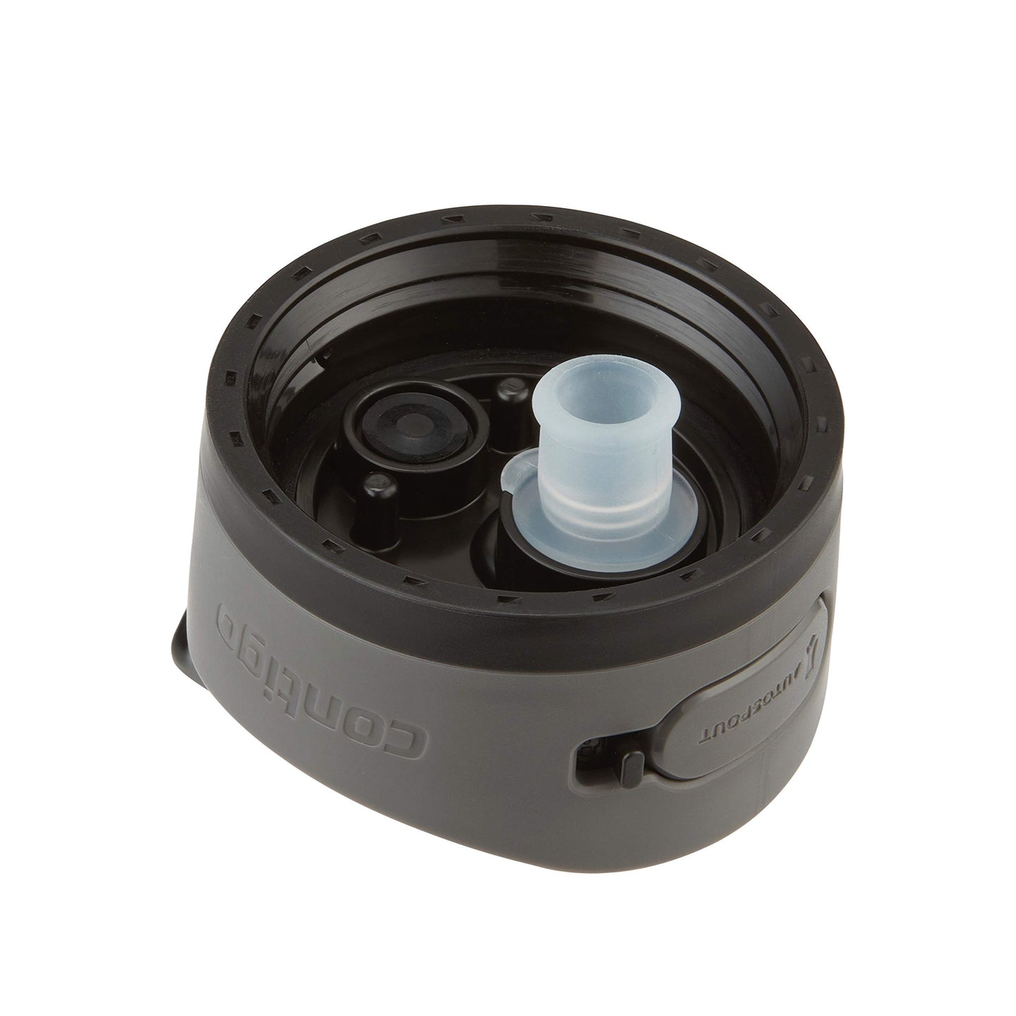 Contigo Ashland Chill 2.0 Stainless Steel Leak-Proof Water Bottle with Straw and Carry Handle for Easy Travel, Vacuum-Insulated and BPA-Free, Licorice, 24 oz (709 mL)