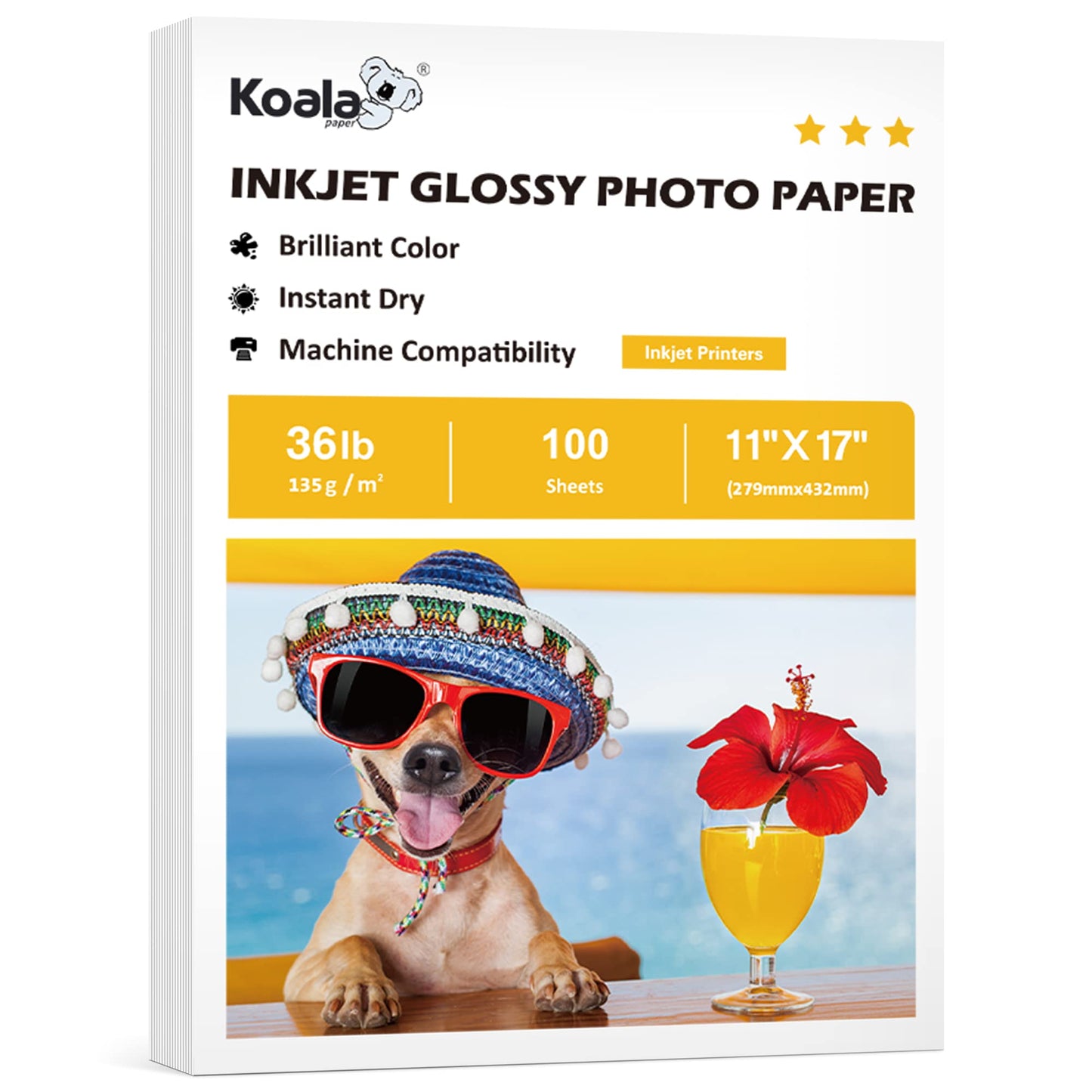 Koala Glossy Thin Inkjet Printer Paper 11x17 Inches for Printing Brochure Flyer Glossy 100 Sheets 36Lb for Inkjet Printers DYE INK