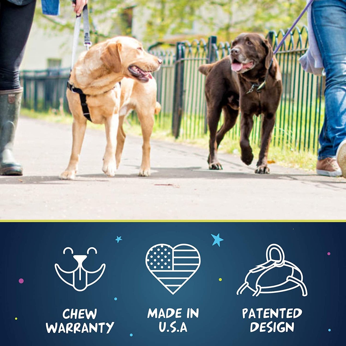 2 Hounds Design Freedom No Pull Dog Harness | Adjustable Gentle Comfortable Control for Easy Dog Walking | for Small Medium and Large Dogs | Made in USA | Leash Not Included | 1" MD Raspberry