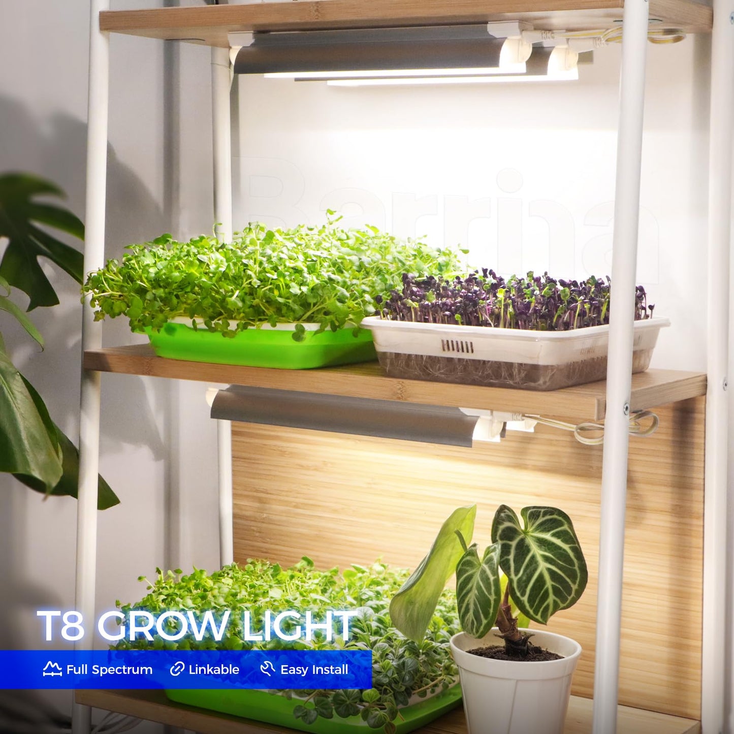 Barrina T8 Grow Lights for Indoor Plants, 5000K White Full Spectrum Grow Light Strip, 60W(4 x 15W), 1FT Plant Light for Greenhouse Indoor Growing, V-Shape with Reflector, Linkable, 4 Packs