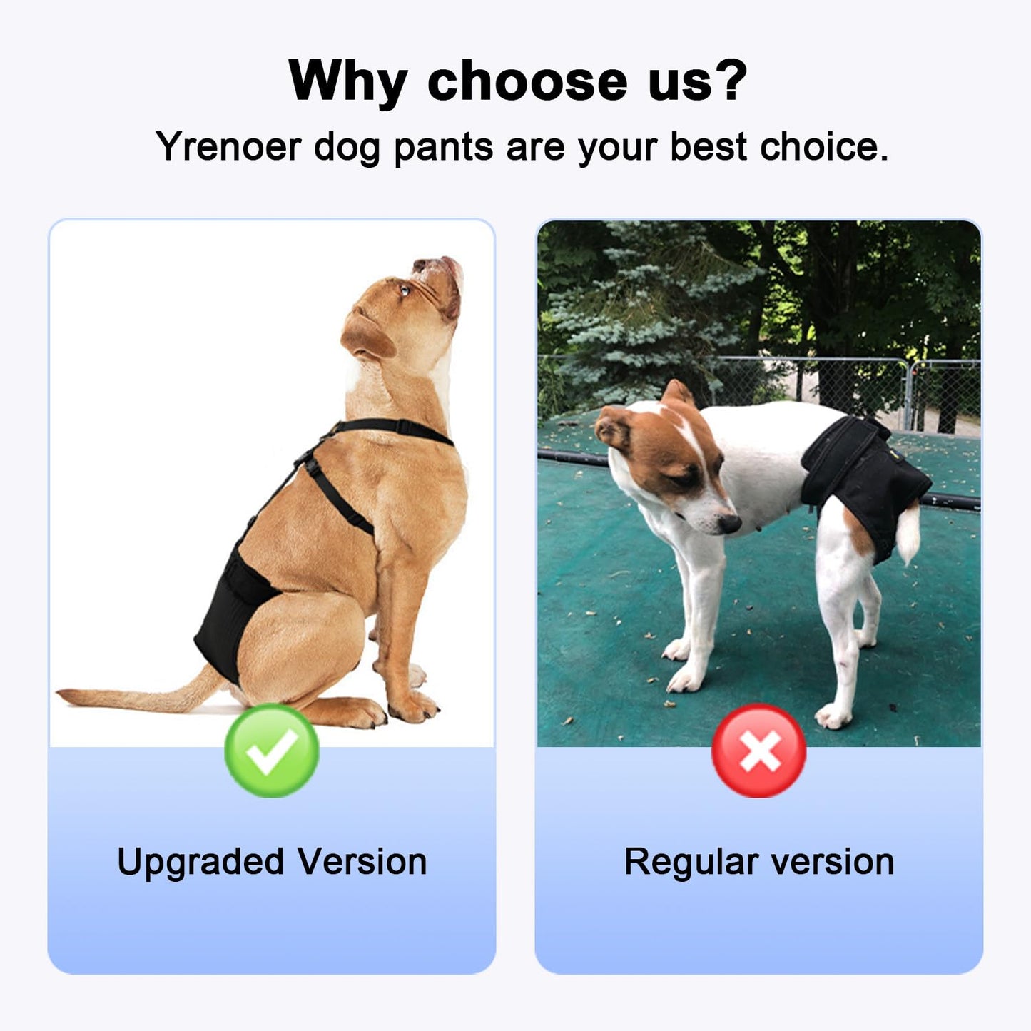 yrenoer Female Dog Heat Pants with Harness Design - Anti-Slip, Anti-Mating, Reusable & Washable Underwear for All-Day Protection (Black, XL)