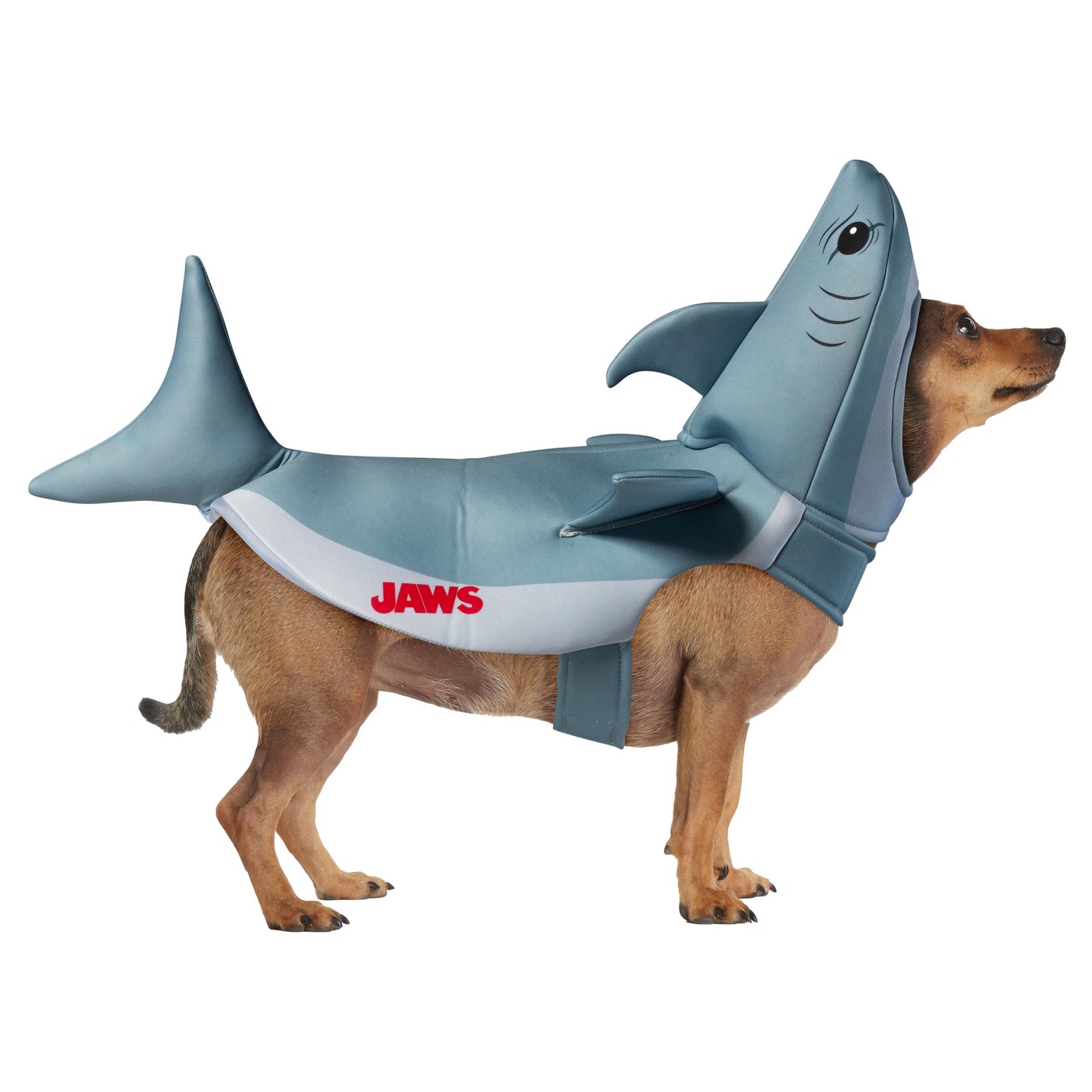 Jaws: Bruce Pet Costume for for Dogs or Cats by Rubies, Small