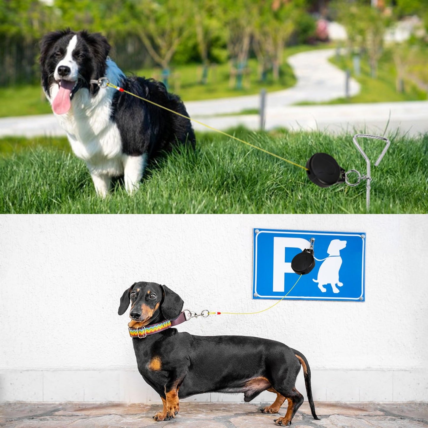 30ft Retractable Dog Tie Out Cable with Ground Pile & Steel Chain, Large Dog Leash Outdoor Dog Anchor Dog Tie Out Cable and Stake for Walking Dogs in Parks, Camping on Leash