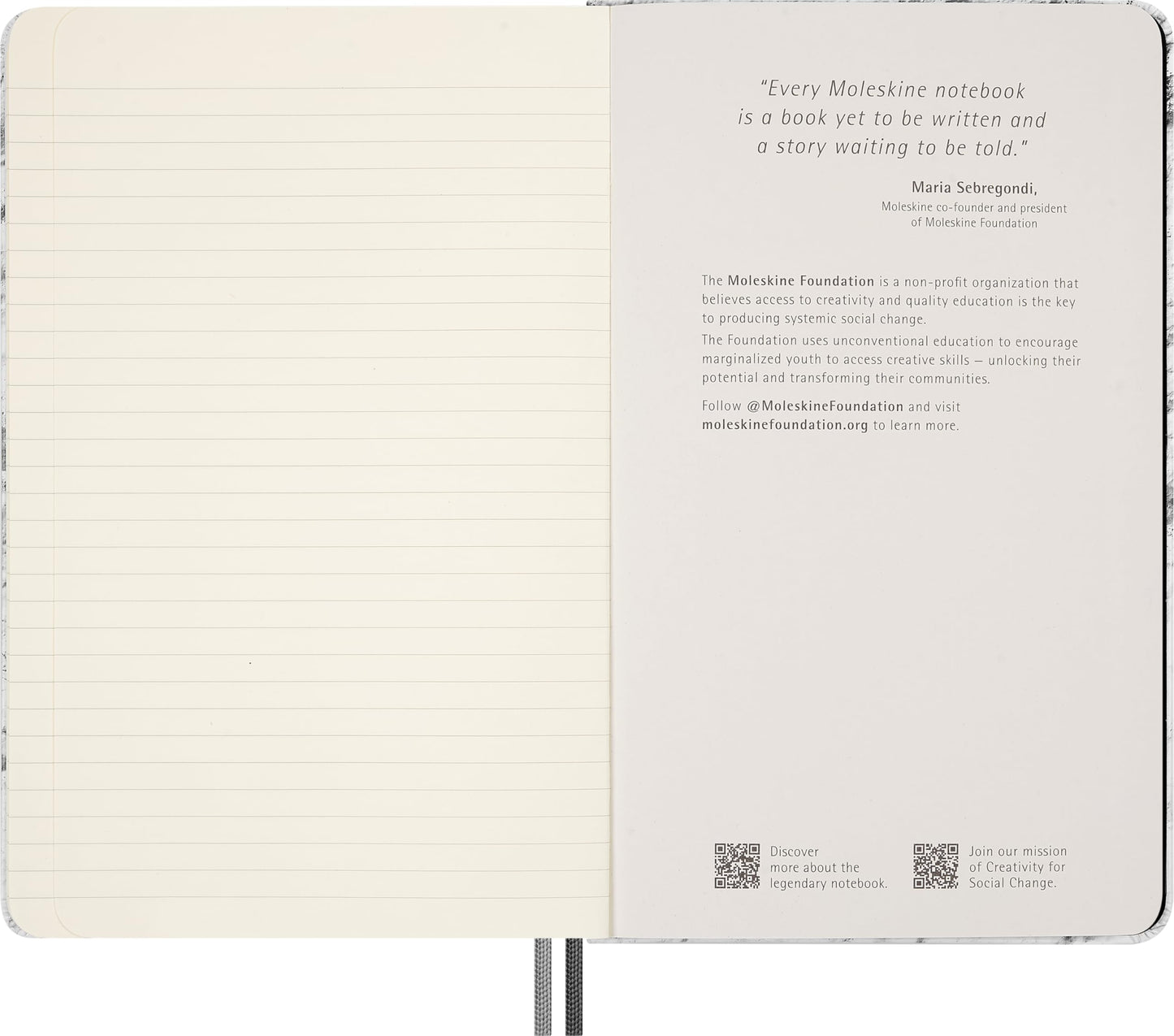 Moleskine Limited Edition NASA-inspired 'Moon surface' Notebook, Hard Cover, Large (5" x 8.25"), Ruled/Lined, Light Grey, 176 pages