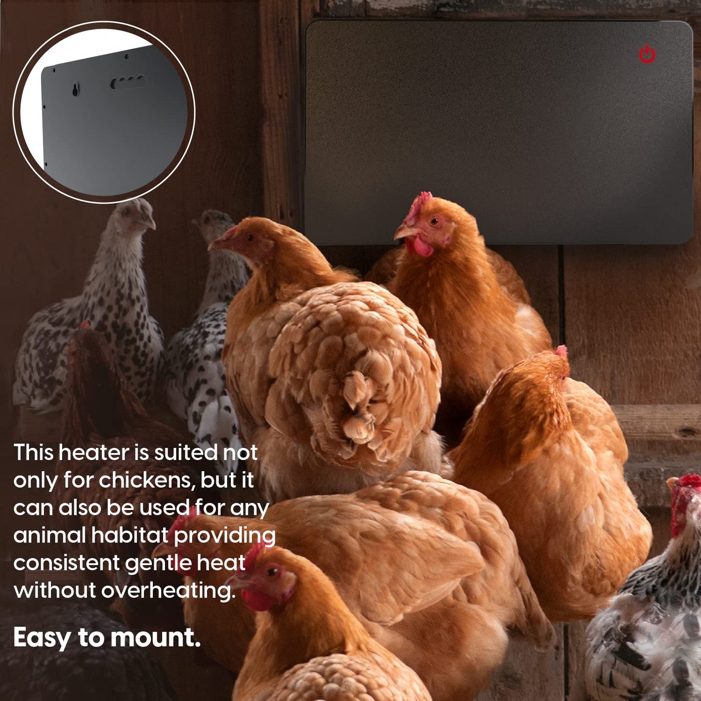 Econohome Safe Chicken Coop Heater, Safer Than Brooder Lamps, Gently Warm, 150 Watts, ETL Compliant for Safety - Also for Pets and Under Desk