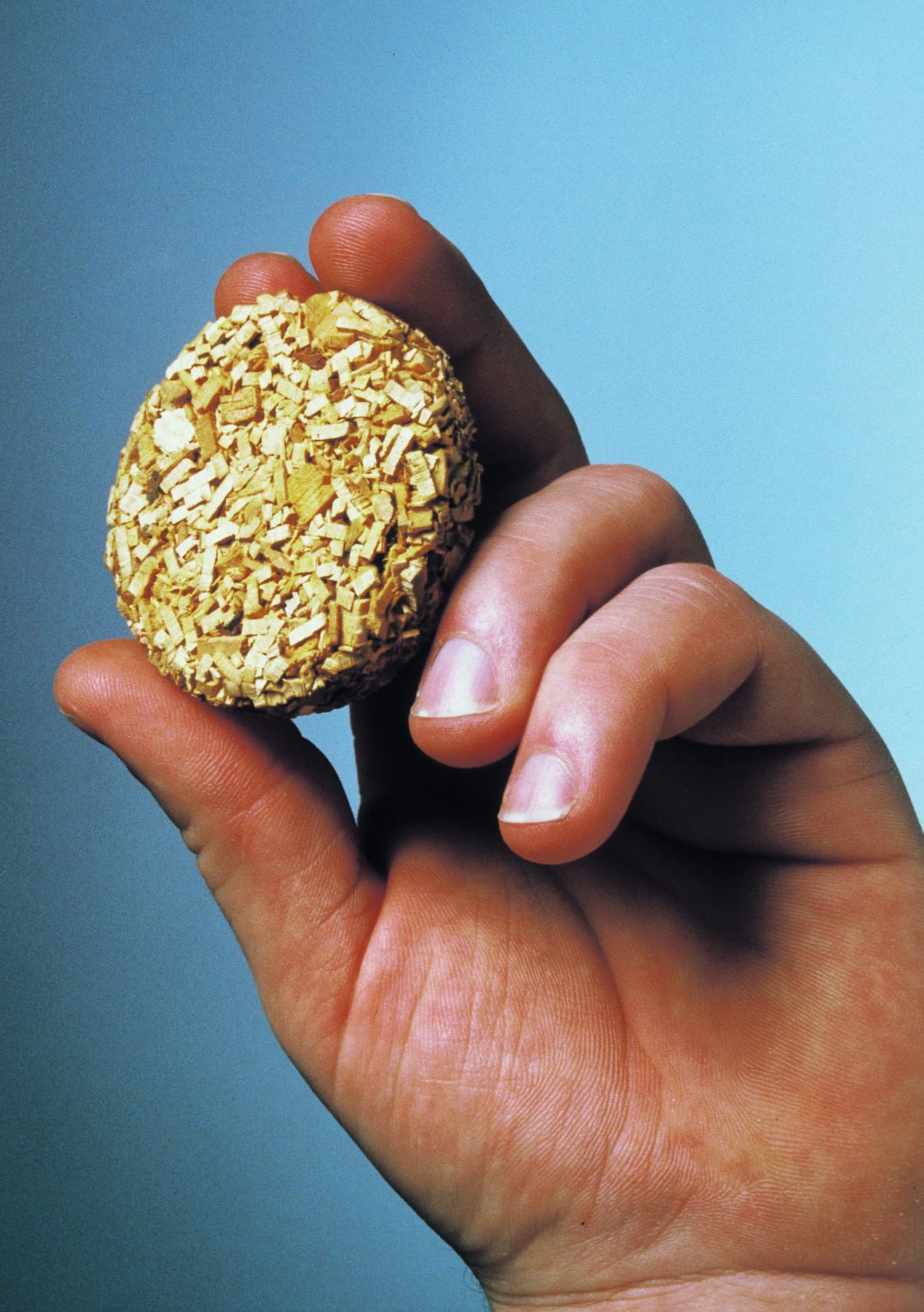 Bradley Smoker Bisquettes for Grilling and BBQ, Mesquite Special Blend, 120 Pack