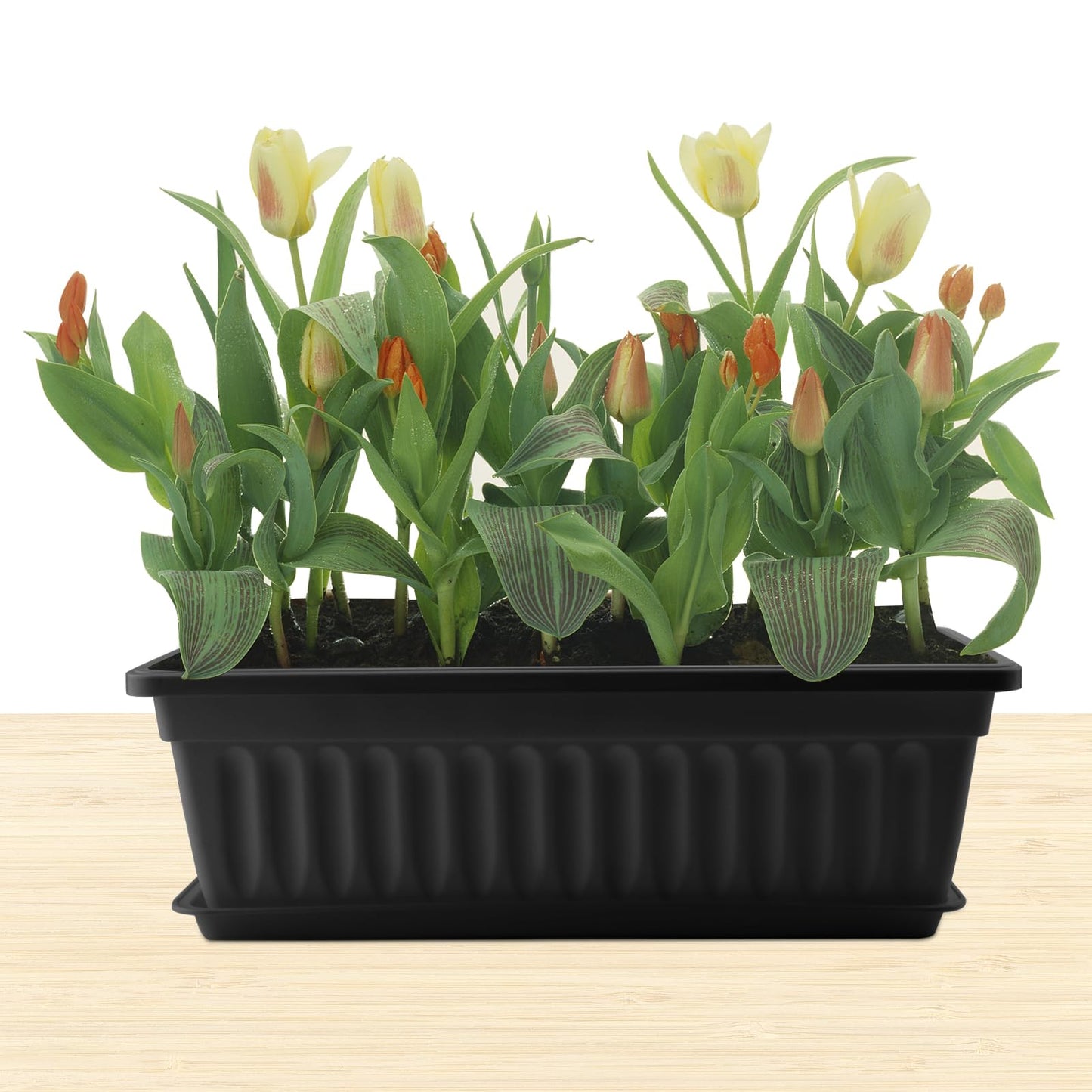 MOUYAT 6 Pcs Black Flower Window Box Planters, 17 x 7.5 x 5.5 Inch Plastic Vegetable Rectangular Flower Plant Pot with Trays and 30 Plant Labels for Garden, Windowsill, Patio, Balcony