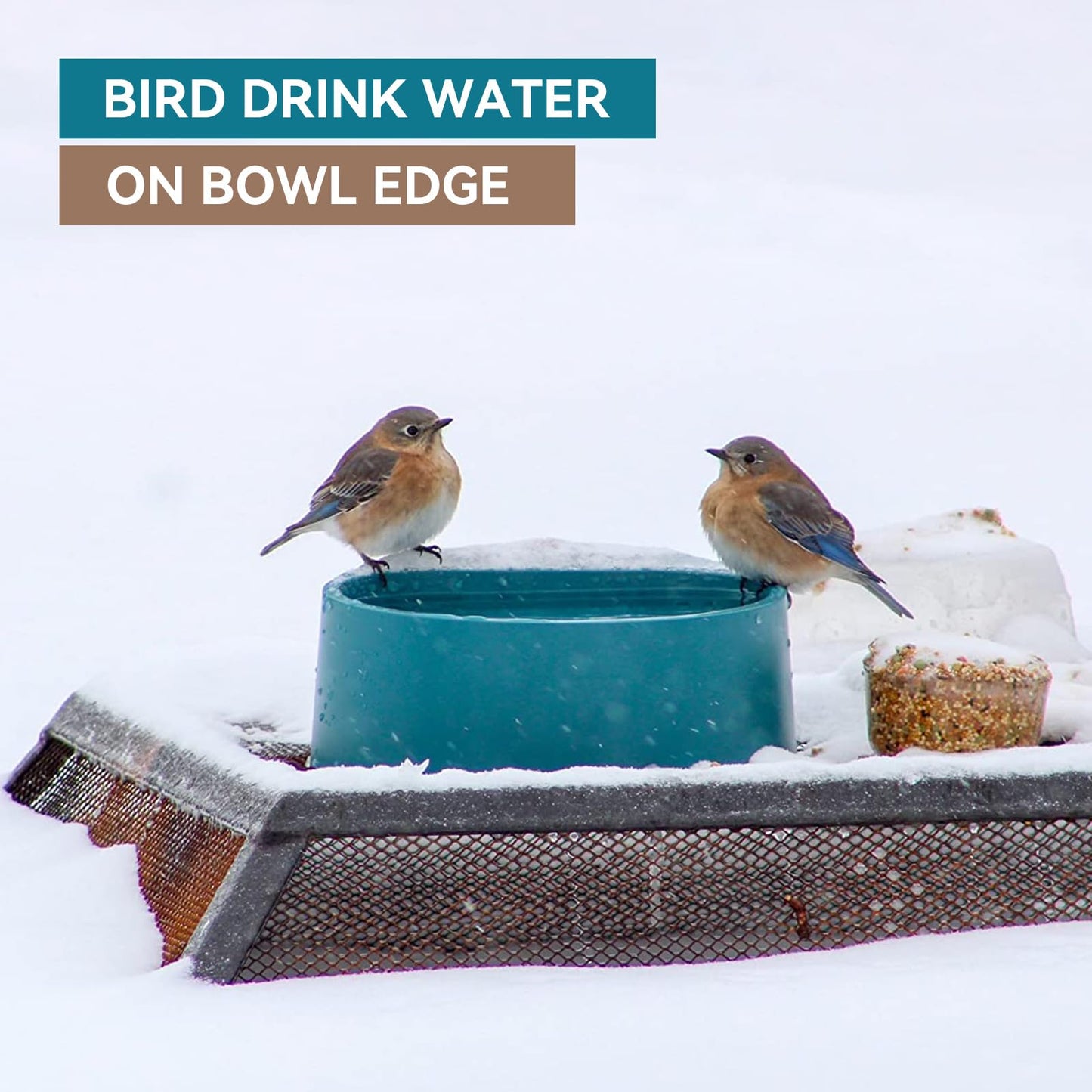 Billionchains Dog Heated Water Bowl for Outdoor No Freeze Water Bowl Pet Water Heater with Chew Resistant Cord, 2.2L