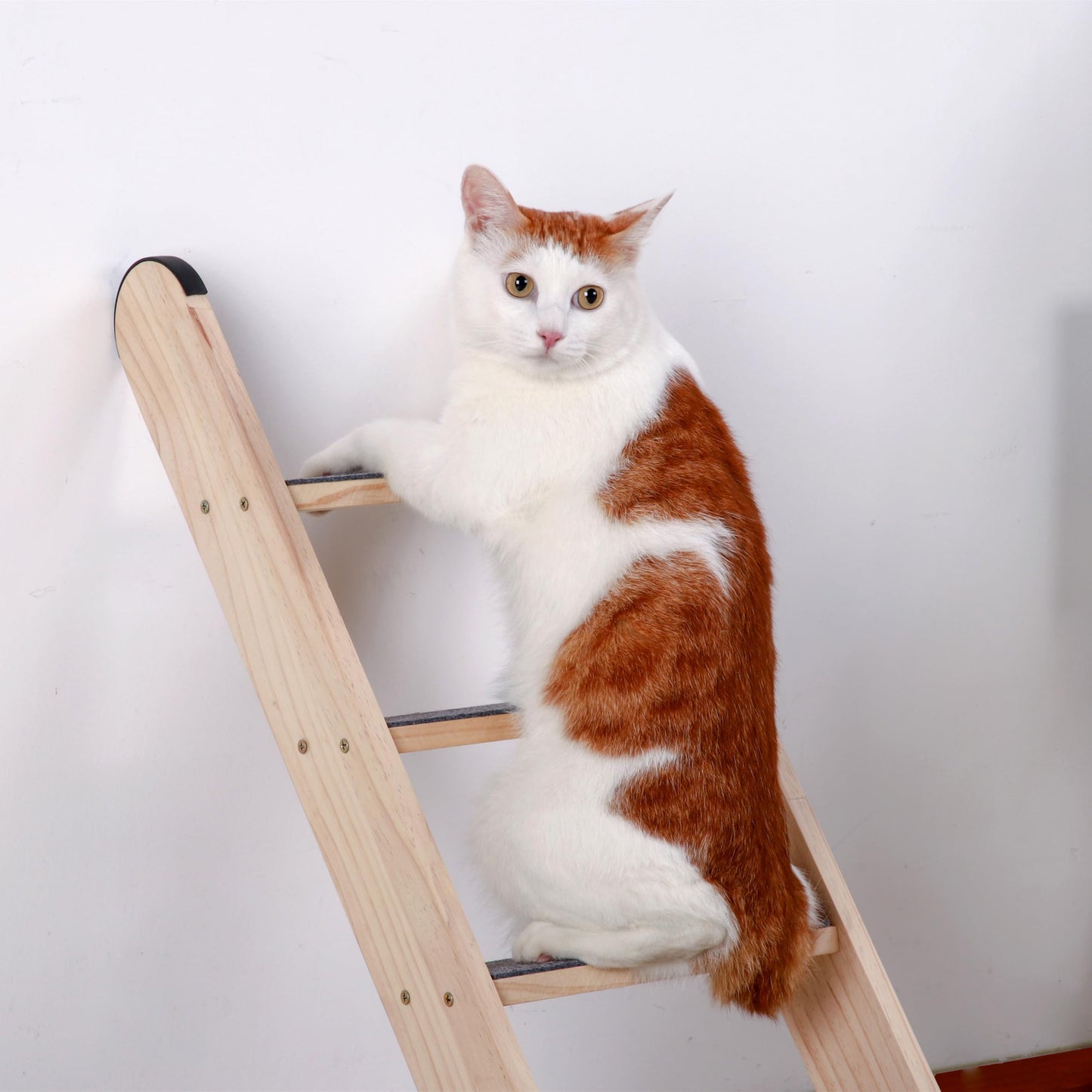 SHENGOCASE Solid Wood Wall Leaning Cat Ladder for Indoor Cats and Small Medium Dogs, Step for Window Bed, Wall Climbing Furniture (47.2")