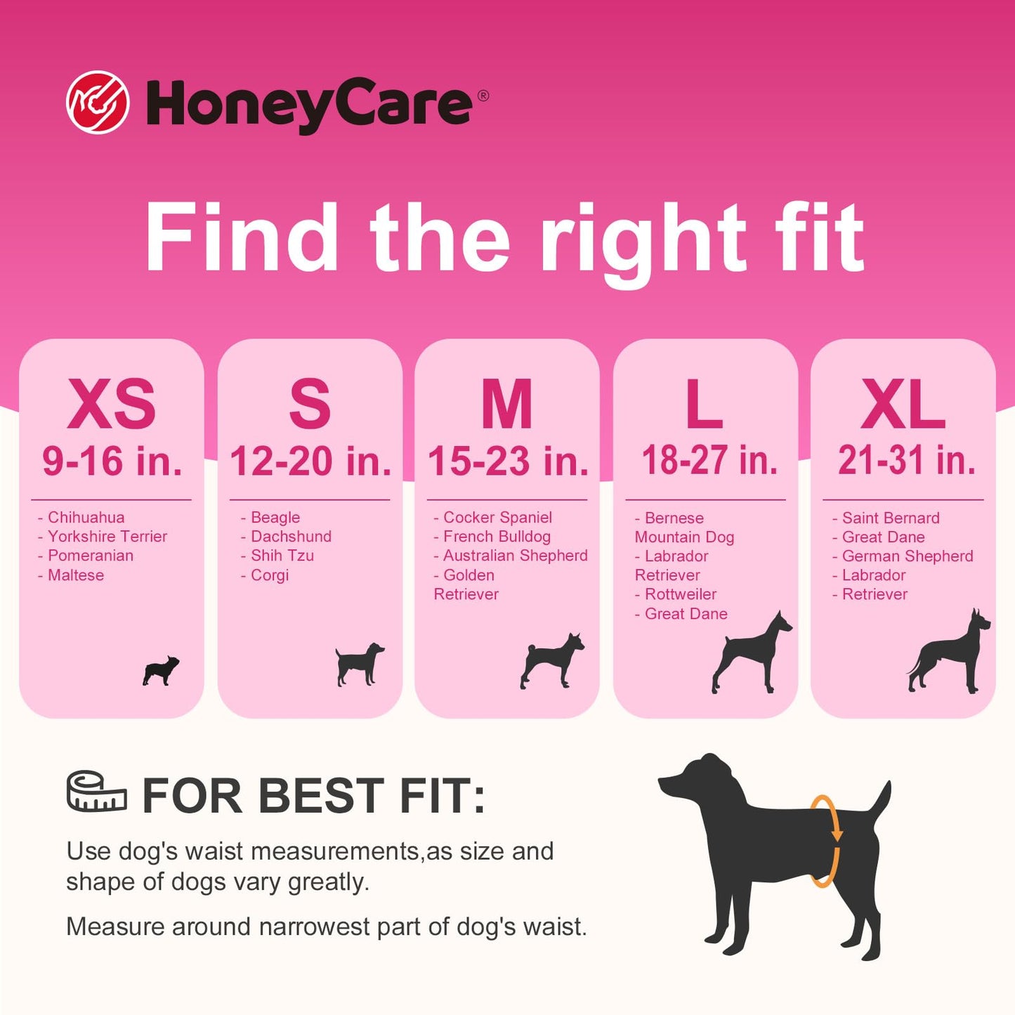 HONEY CARE All-Absorb Disposable Female Dog Diapers Small Size, Improved, 40 Count, Super Absorbent, Breathable, Wetness Indicator, WHITE AND BLUE , S (Pack of 1)