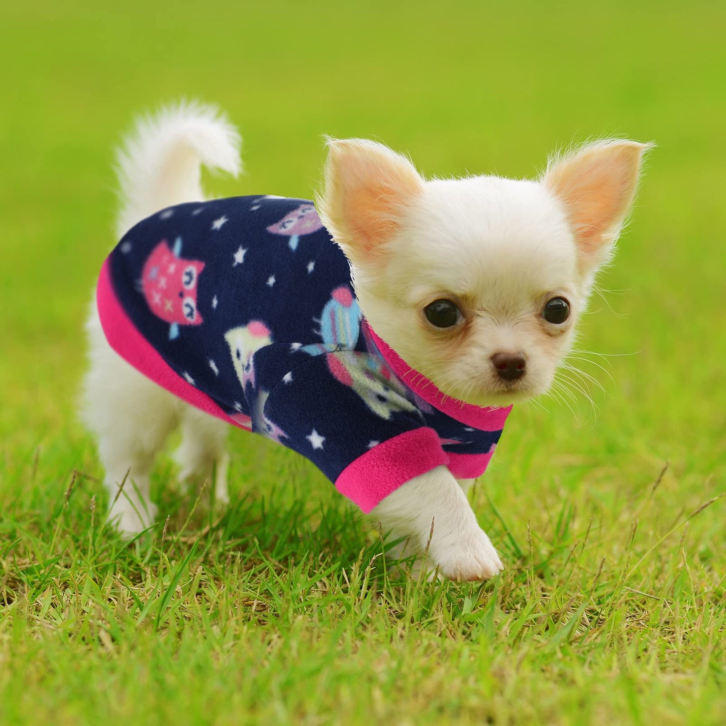 Weewooday 8 Pieces Dog Sweaters Winter Chihuahua Clothes Outfits Puppy Sweater Dog Warm Shirt Puppy Clothes for Winter Colorful Thickening Pajamas for Pets Pup Cat, Medium
