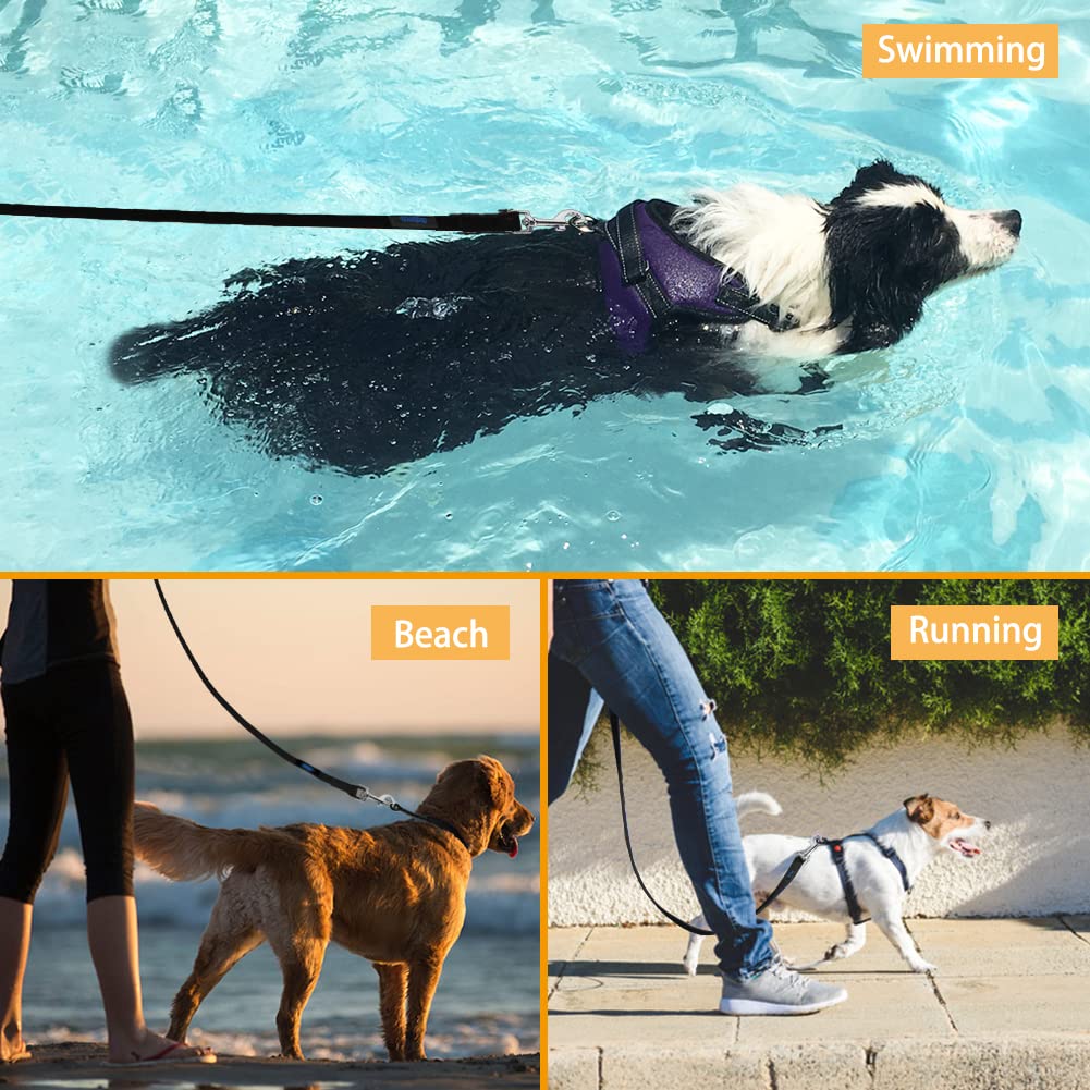 Vivifying Waterproof Long Dog Leash, 32Feet/10M Durable PVC Long Training Lead with Padded Handle Great for Medium Large Dogs Training, Hiking, Swimming, Beach and Yard (Black)