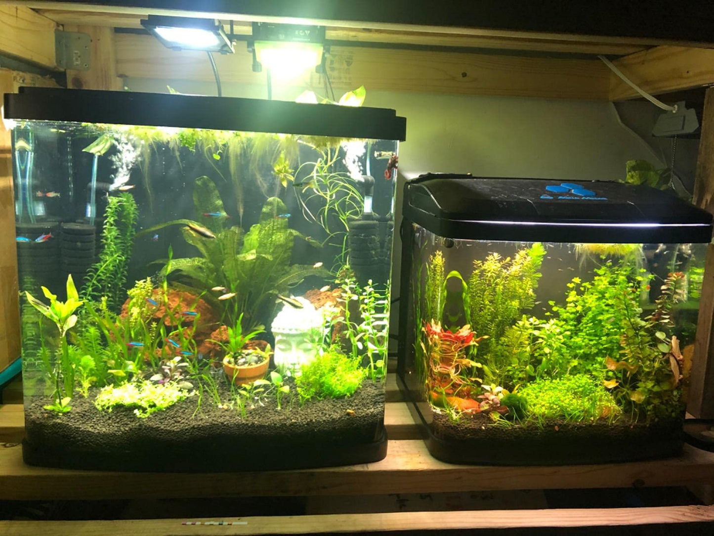 30W LED Super Bright Flood Security Work Lights,with ON/Off Switch,US-3 Plug,5 ft Cable,3600 Lumen 6000K Cool White IP66 Waterproof,Outdoor for Garage Garden Lawn Playground Yard,Yoke Mount,2 Pack