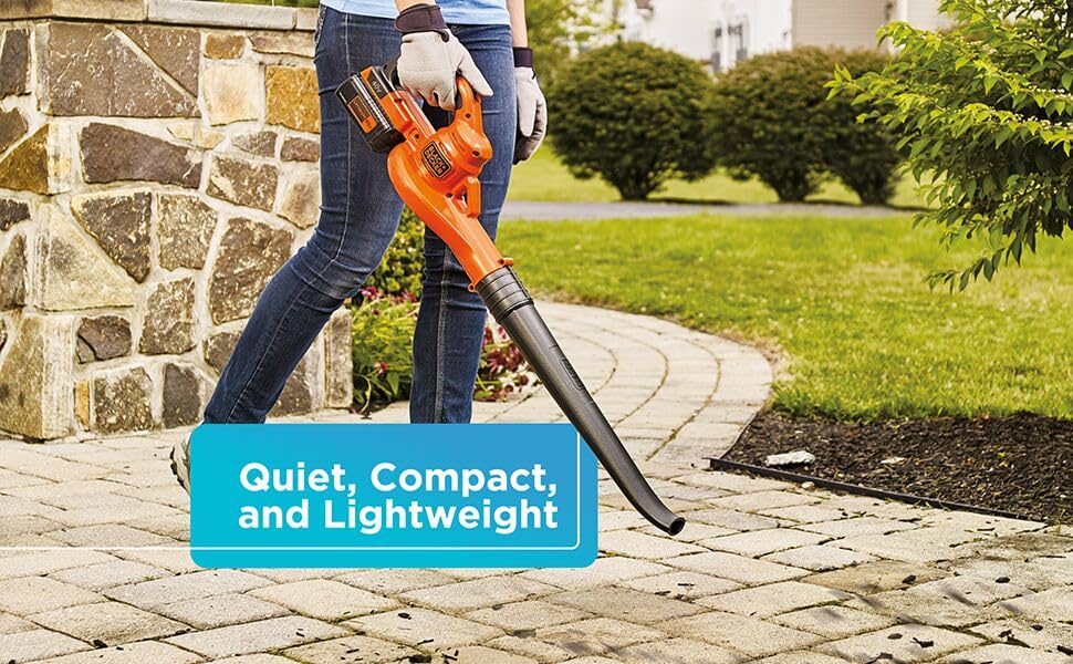 BLACK+DECKER 40V MAX* Cordless Sweeper (LSW40C)