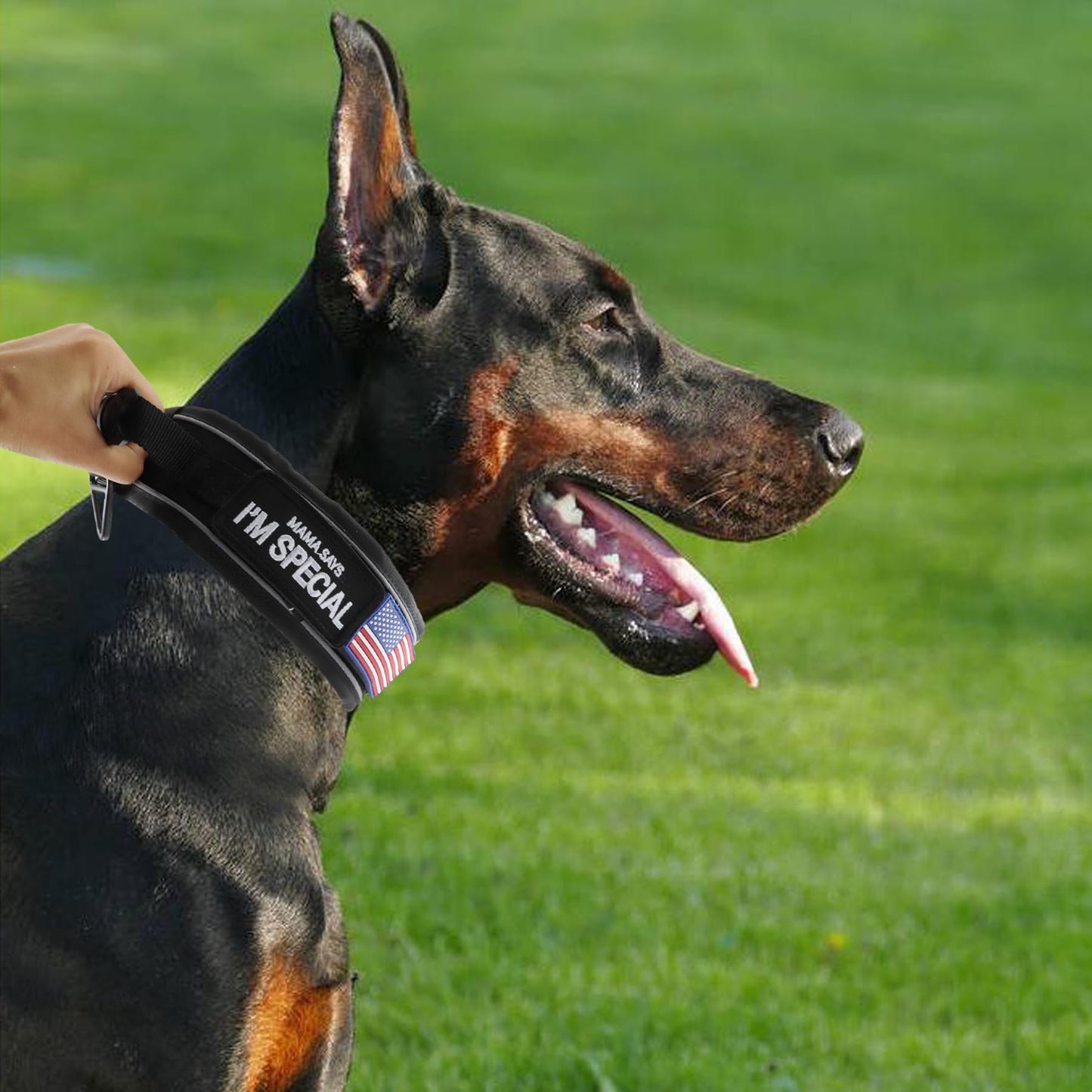 Comfluxe 2.5" Tactical Dog Collar for Medium Dogs, Adjustable Heavy Duty Military Nylon Dog Collar with Reflective Stitching & Padded Handle for Hiking/Running/Training (Black,M)