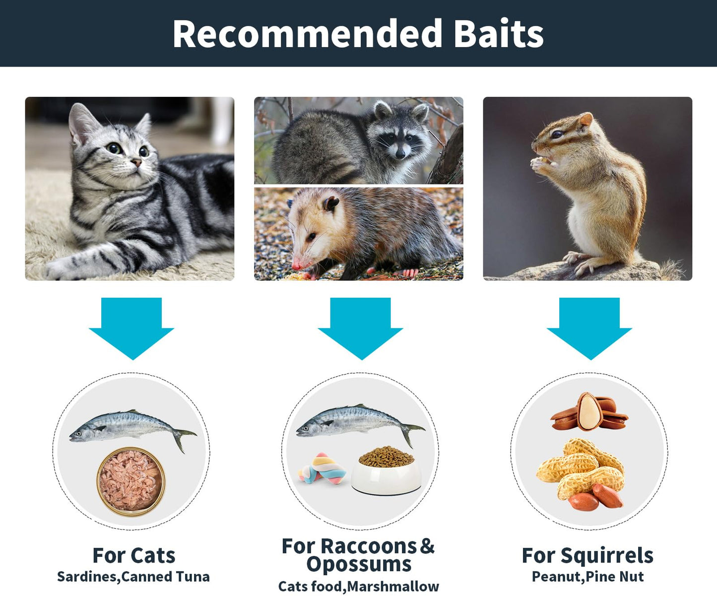 32" Live Animal Trap,Humane Live Animal cage Trap for Squirrels,Small Stray Cats,Rabbits