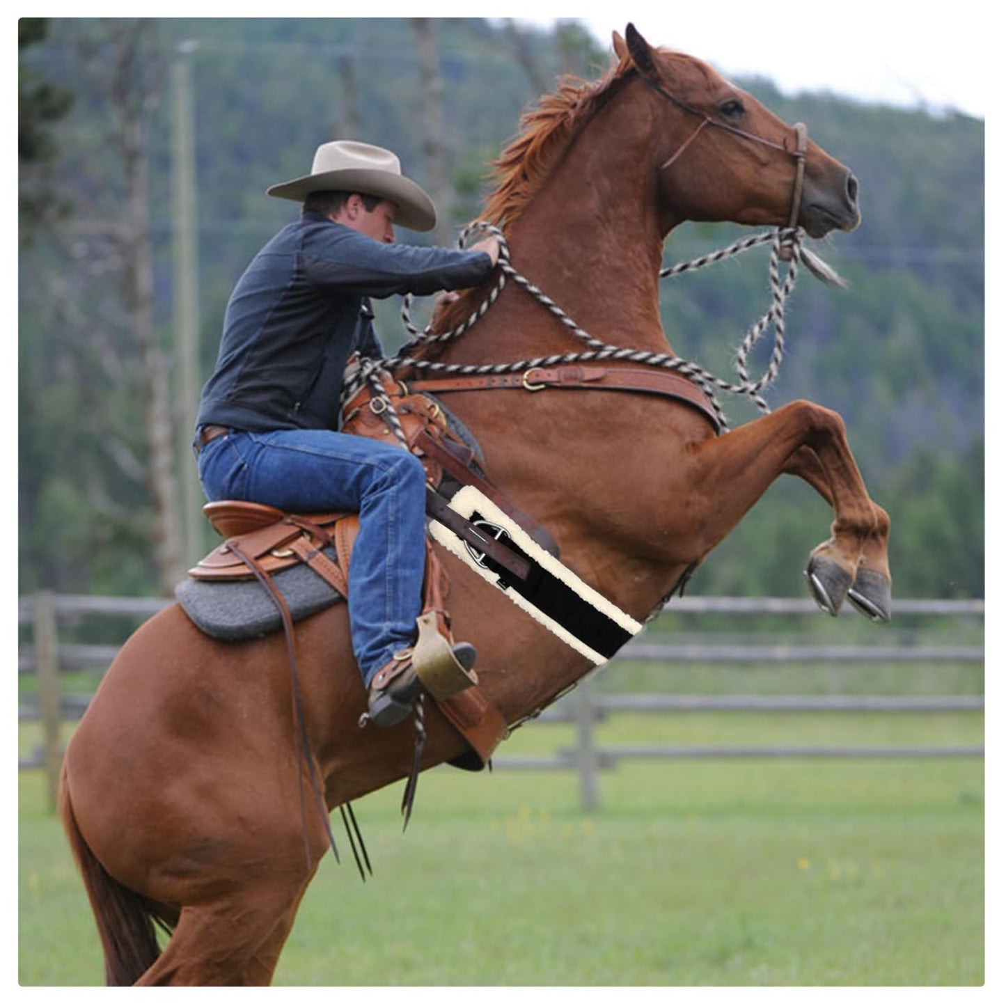 32 Inch Horse Girth, Saddle Strap with Stainless Steel Buckle, Soft Wool with Non-Slip Nylon Webbing, Designed for English Saddles, Easy to Install