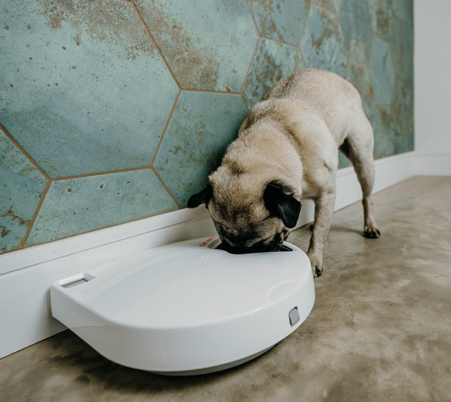 Cat Mate C500 Automatic Pet Feeder with Digital Timer for Cats and Small Dogs