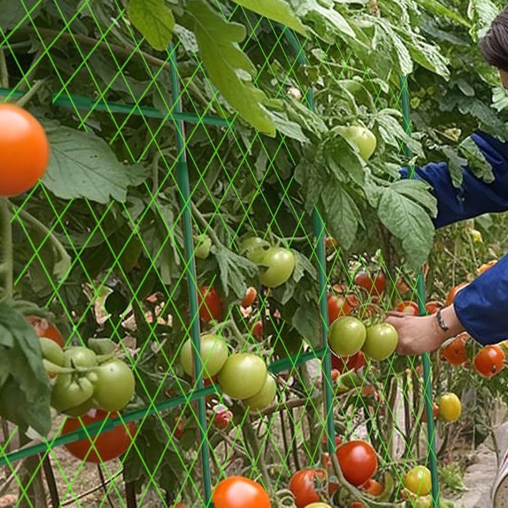 160 * 120cm Garden Trellis Cucumber Plant Trellis for Raised Bed with Netting Gloves Garden Tools for Vegetables for Plant Support Peas Fruit Flower Grape(Green)