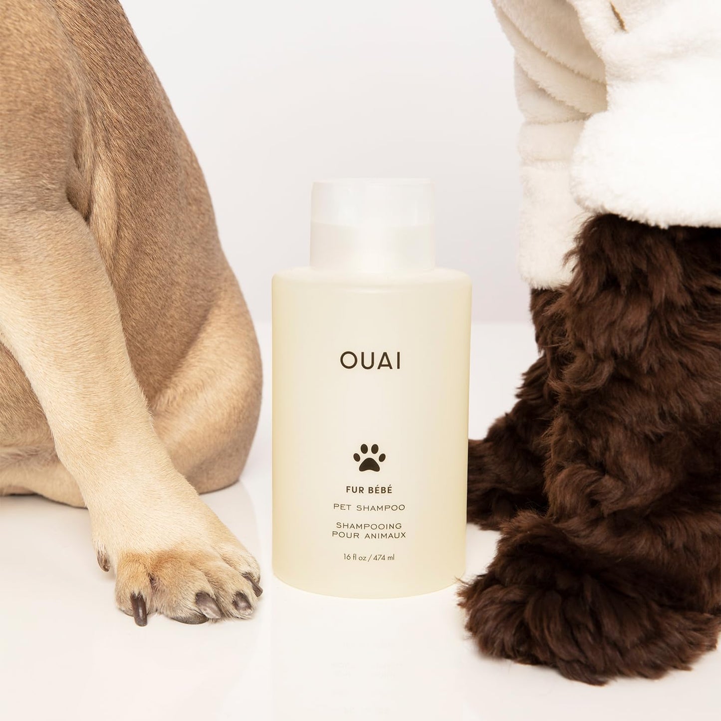 OUAI Fur Bébé Pet Shampoo - Cat & Dog Shampoo for Gentle Cleansing, Hydration & Shine - Vegan & Cruelty-Free Pet Supplies with Aloe Vera & Panthenol - Mercer Street Scent (16 Fl oz)
