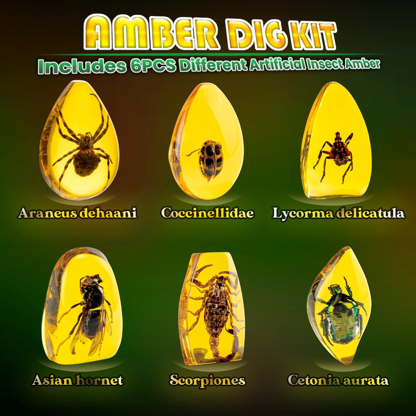 Amber Dig Kit - Excavate 6 Insects Specimens, STEM Geographic Educational Bugs Toys, Science Excavation Kit for Fun Party Favors, Bug Collection for Kids Age 6+