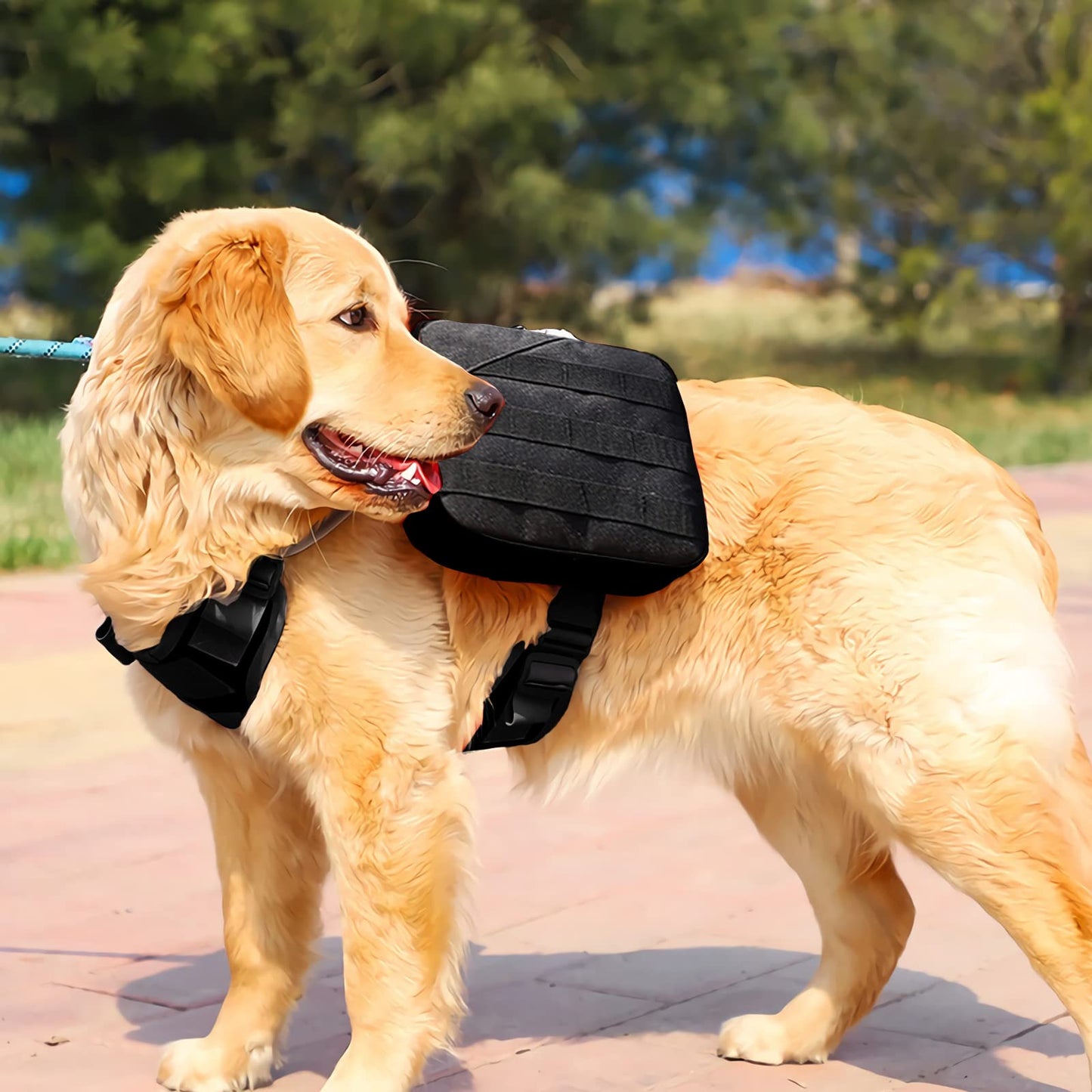 BYGD Dog Pack Hound Dog Saddle Bag Backpack to Wear, Medium & Large Dogs with 2 Big Side Bags for Travel, Camping, Hiking -Black.