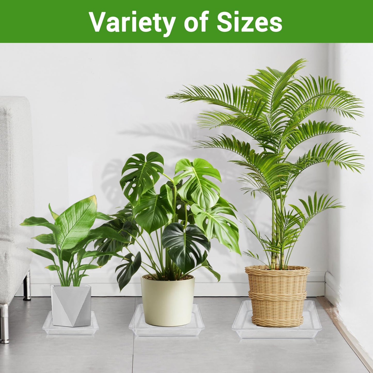 Greaner Clear Plant Plates to Catch Water, 12 Inch Durable Thick Saucer for Flower Pot, Square Plant Saucer Plant Trays for Pots, Flower Pot Saucers to Catch Water Drip Tray(6 Packs)
