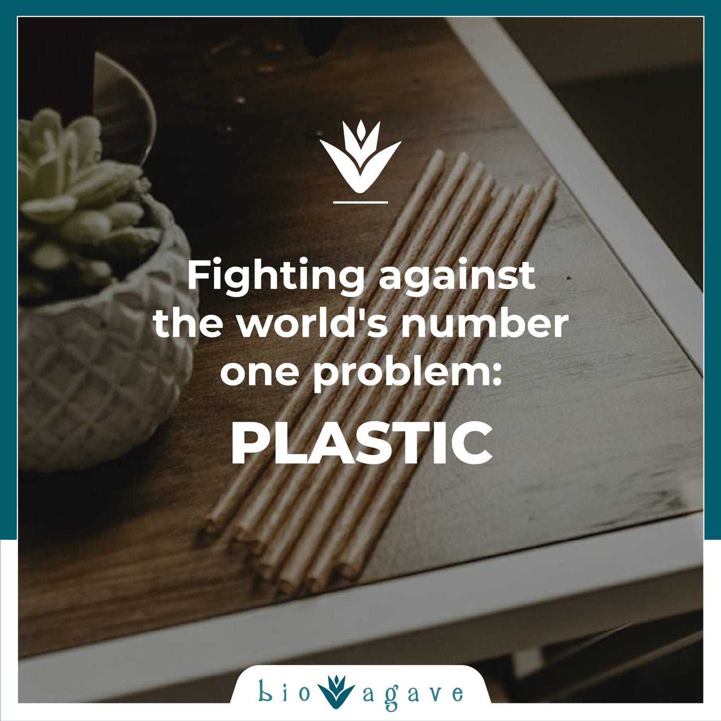 BIO AGAVE - 3600 Pack Biodegradable 5.9" Cocktail Straws Made from Agave Fibers. | Plant Based Eco Friendly Products | Drinking Straws | Reusable Straws