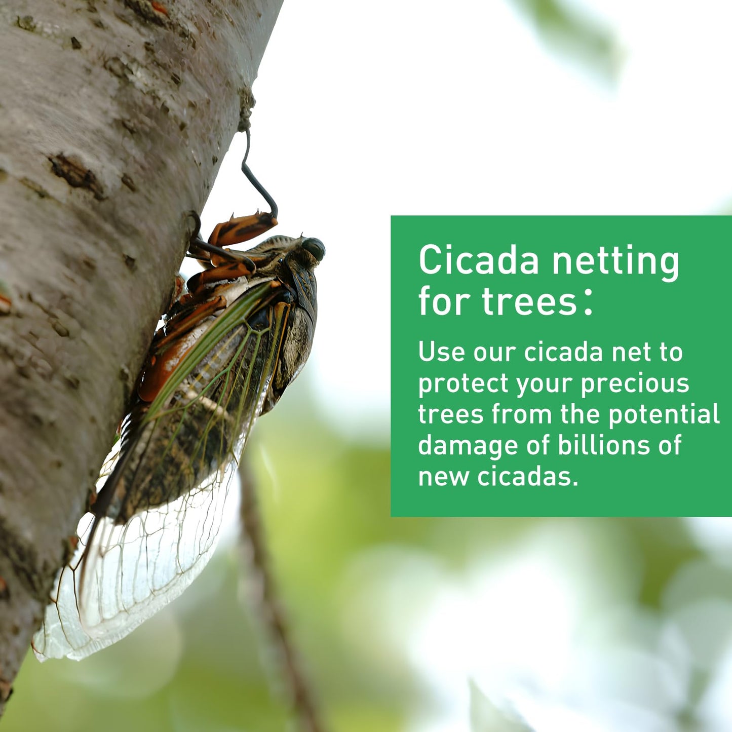 2Pack 10x30ft Garden Netting Mesh Barrier, Ultra Fine Mosquito Net for Patio,Garden Netting for Raised Beds,Fruit Tree Netting for Garden Protection Blueberry Bush Netting Cover