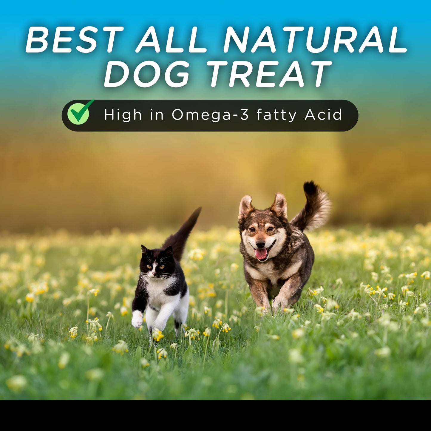 Only One Treats Dried Sardines for Dogs and Cats – All-Natural Training Treats with Omega 3 and Calcium – Sun-Dried Pet Treats for Dogs and Cats Brain, Heart, Skin and Coat Health (150g, Pack of 3)