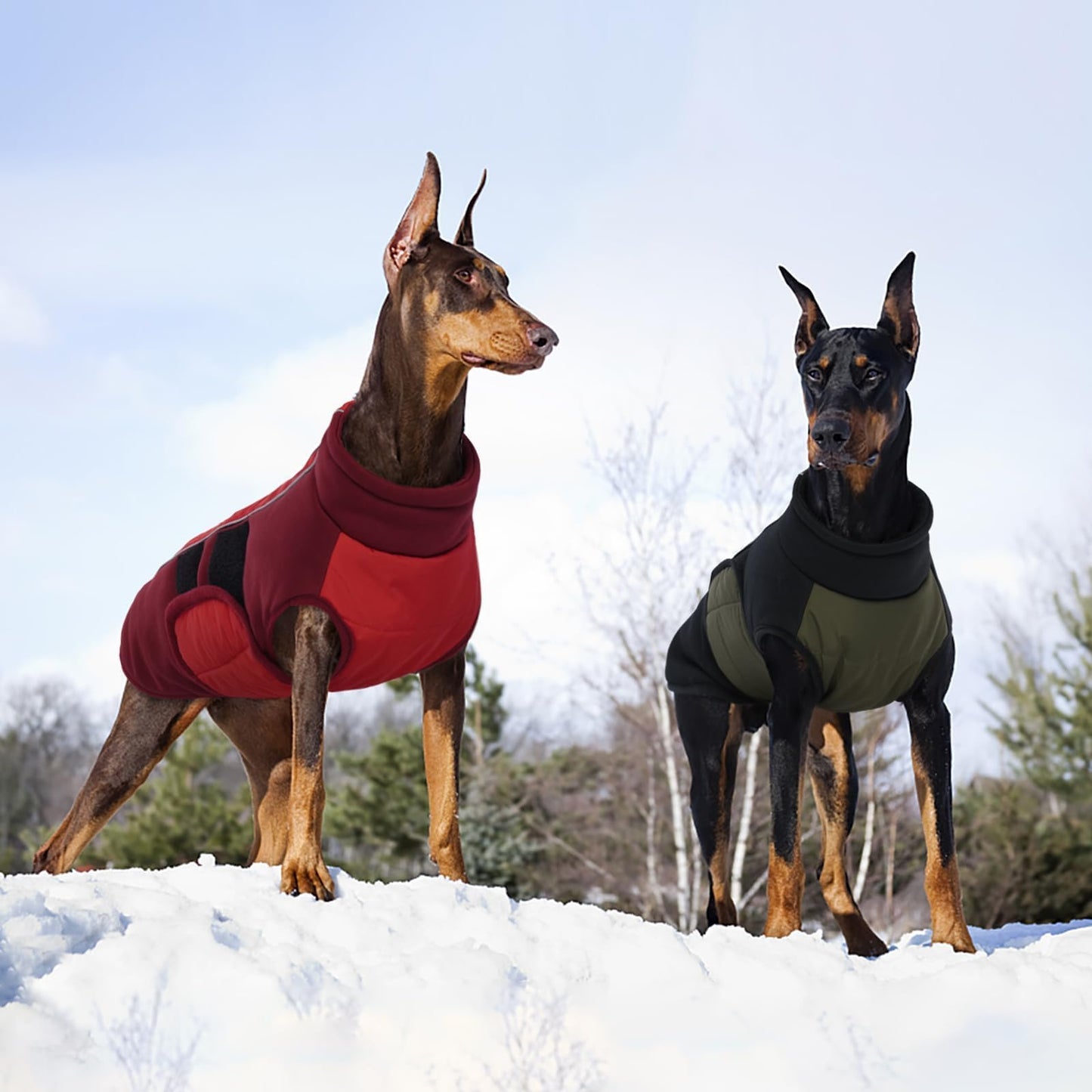 Kuoser Red Dog Coat, Winter Dog Jacket, Medium Size, Polyester Blend, Reflective Strips, Adjustable, Machine Washable