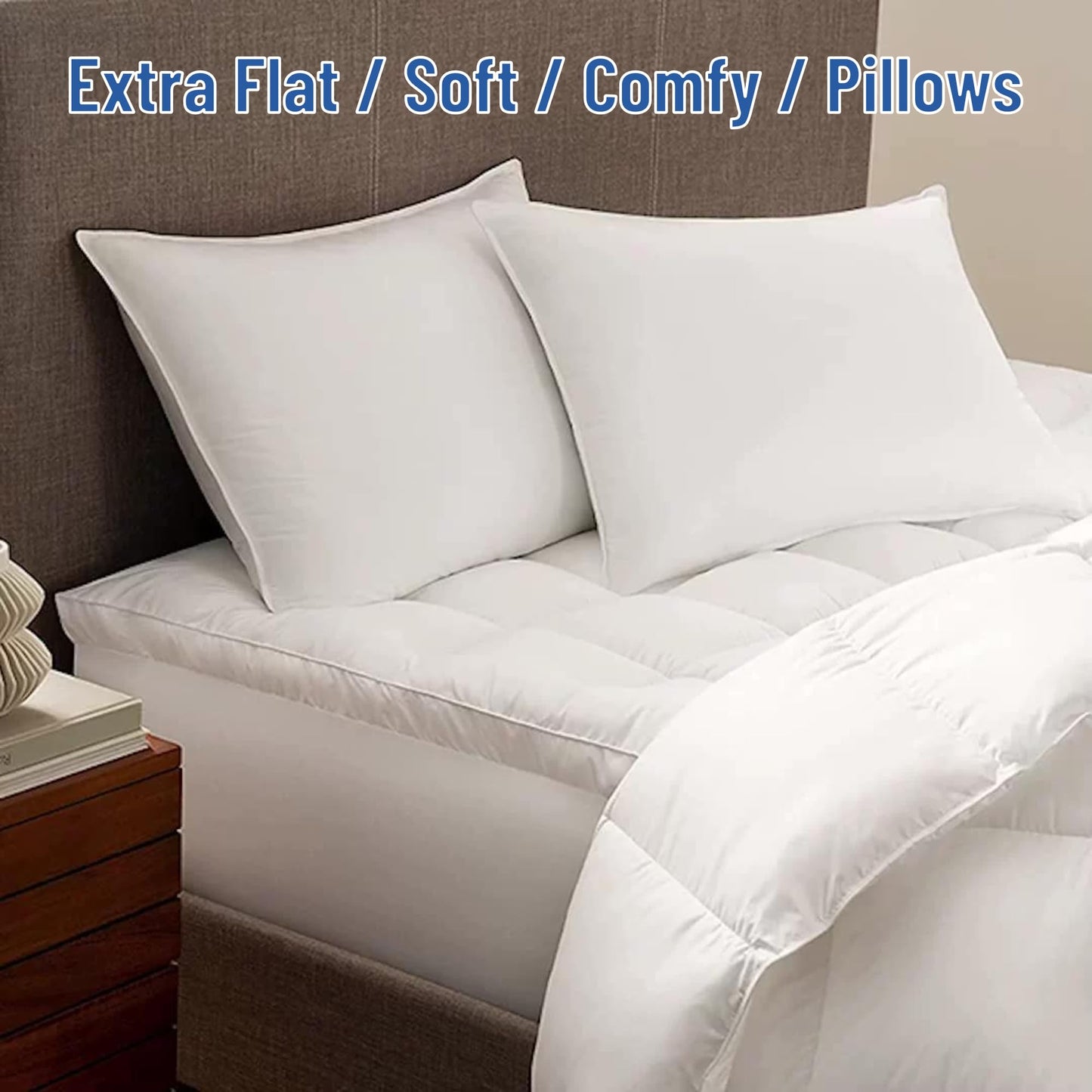 SILUI Flat Soft Thin Pillows for Sleeping Queen Size Set of 2 Pack Low Bed Pillow with Down Alternative Fill for Side Back Stomach Sleepers, 20x30 Inches, White