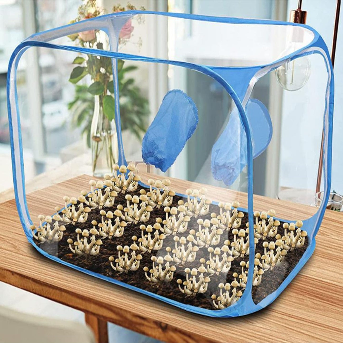 Heyaxdin Portable Collapsible Mushroom Grow Box, Mushroom Grow Still Air Box, Pop Up Mushroom Cultivation Tent, Grow Bag Mushroom Tent Propagation Station