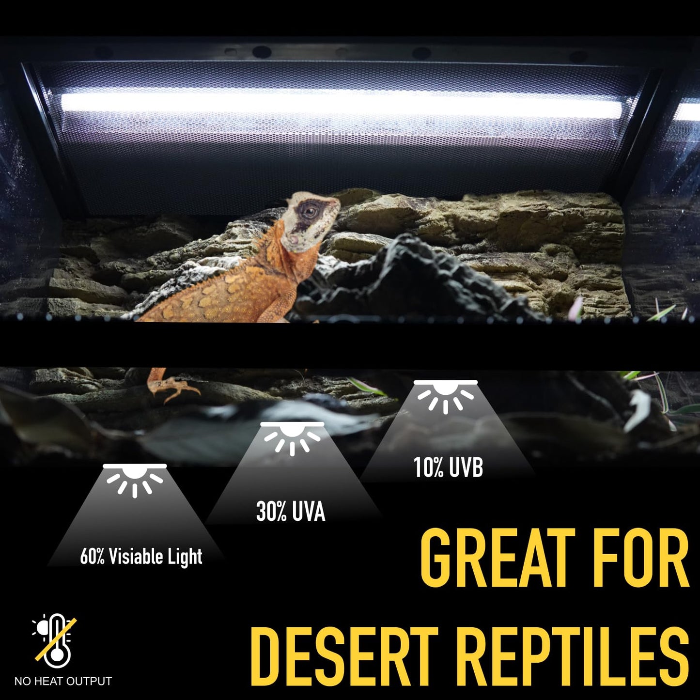 ReptiKing T5 Reptile 24W UVB 10.0 Tube, 2 Pack for Desert Reptiles and Bearded Dragons, 22"