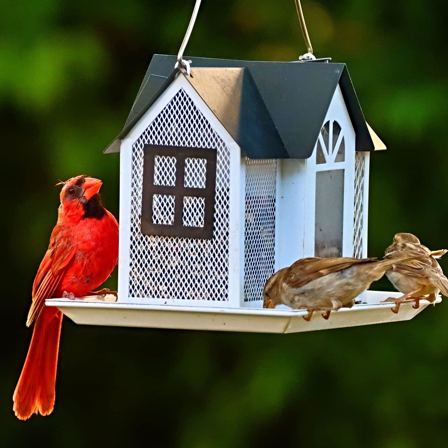 Kingsyard Bird Feeder House for Outside, Metal Mesh Wild Bird Feeder with Triple Feeders for Finch Cardinal Chickadee, Large Capacity, Weatherproof and Durable, Black Roof