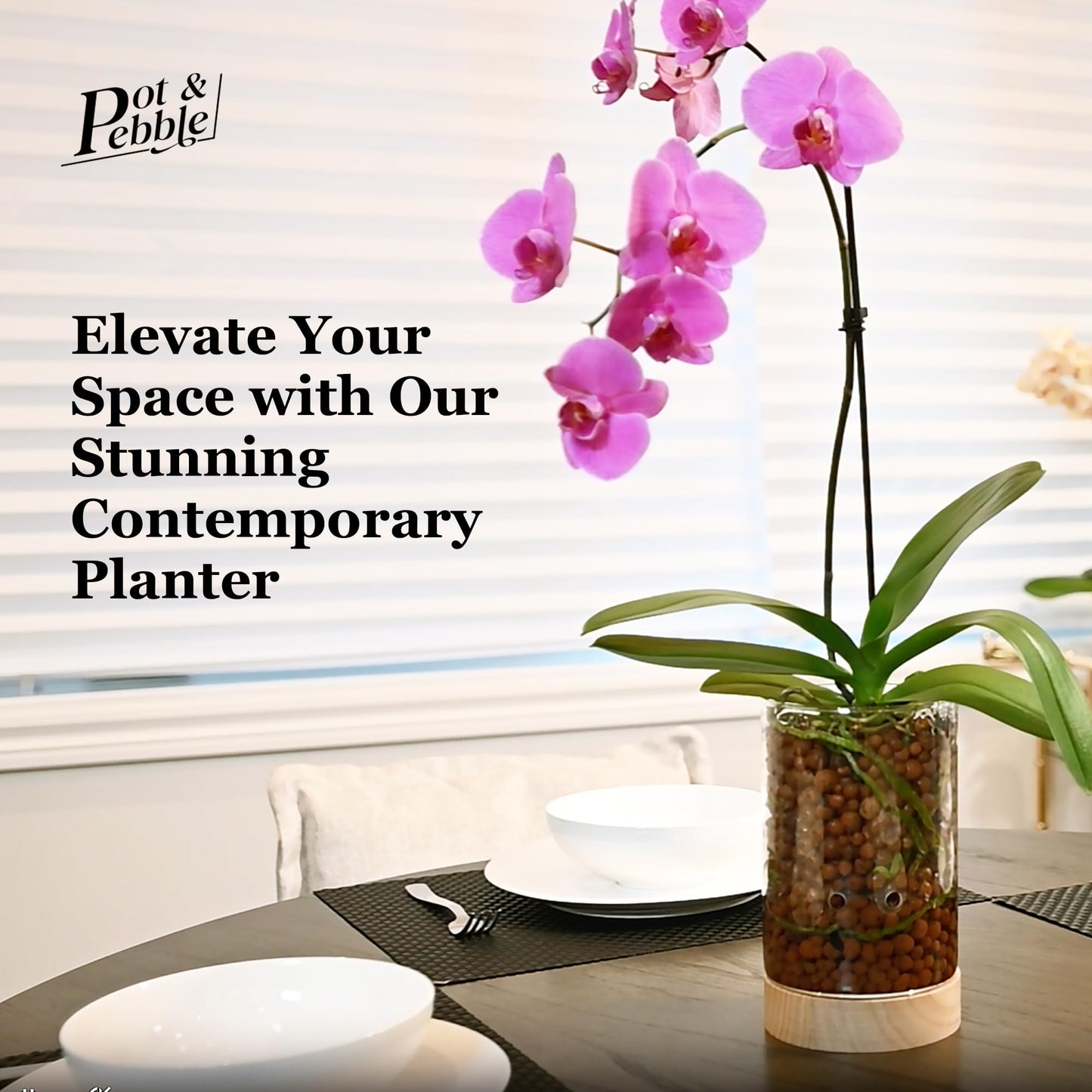 Pot & Pebble - C1 Glass Planter with Wooden Base - Plant Propagation Station with Holes for Water Level Control - Plant Cutting Holder for LECA Clay Pebbles/Similar Media - Semi Hydroponic Planter