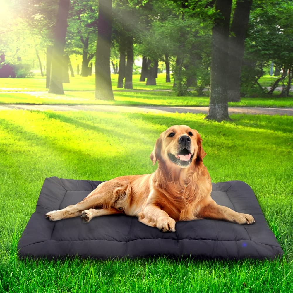 Blueshyhall Pet Dog Bed Super Snoozer Indoor/Outdoor, Waterproof Camping Travel Pet Mat
