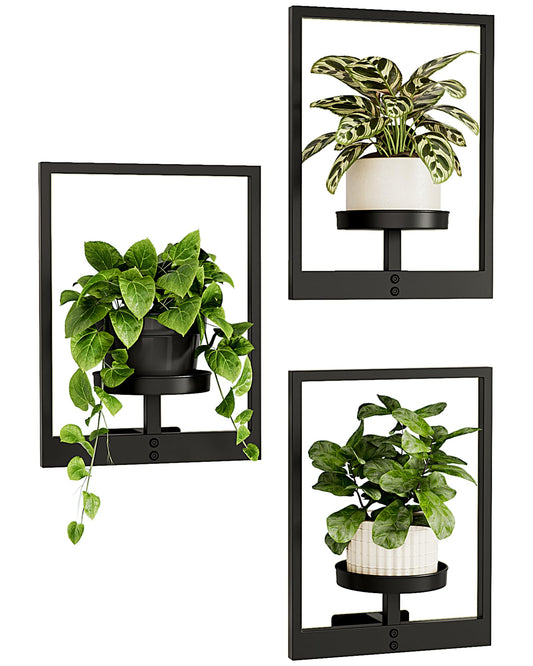 Bamworld Wall Planters for Indoor Plants Hanging Planter for Indoor Plants Plant Stand Indoor Wall Decor Hanger Window Plant Shelves 3 Pack for Living Room Outdoor Entryway