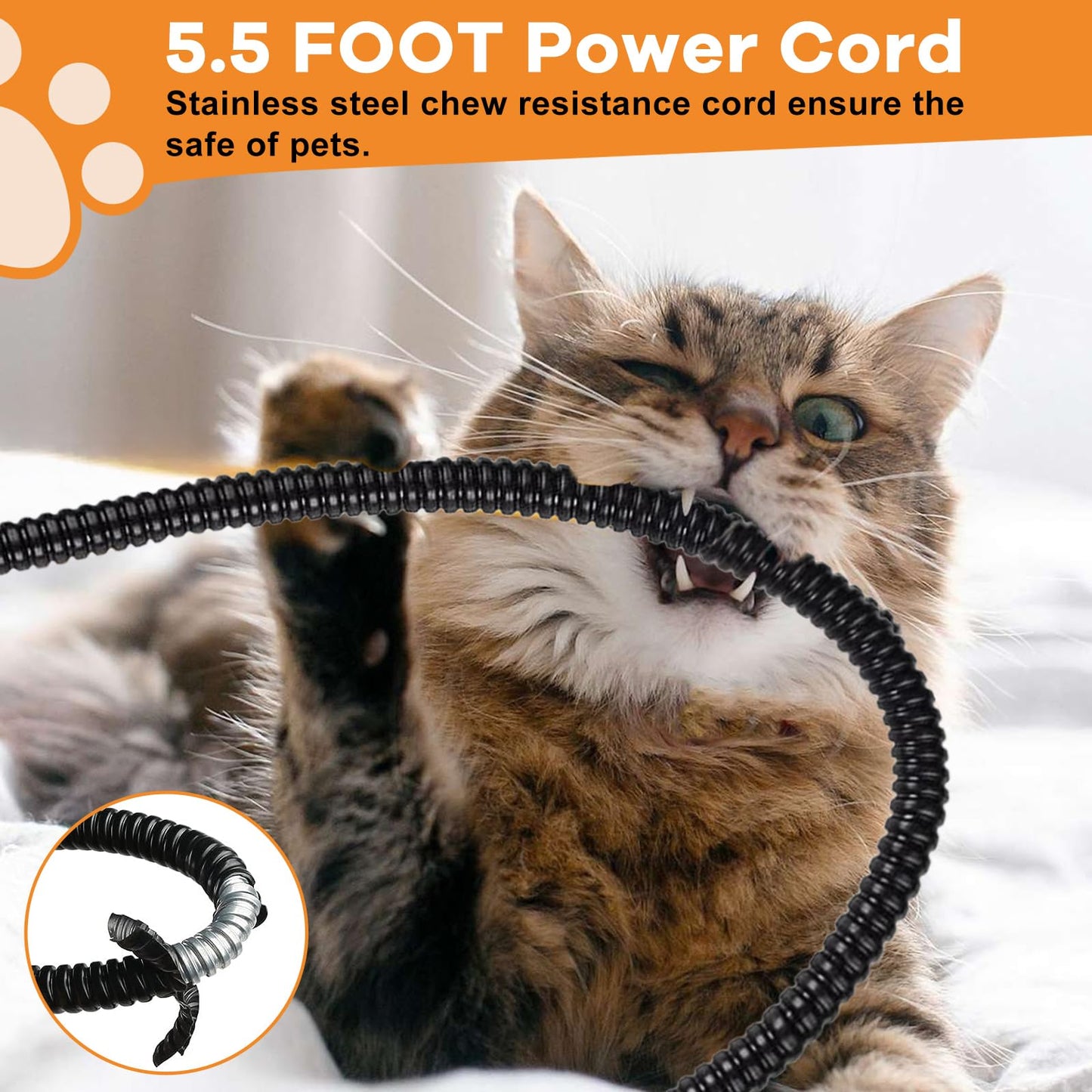 Heated Cat Bowl - KOKOPRO for Outdoor Heated Pet Bowl Stainless Steel Heated Water Bowls Food Warmer, Double Heated Pet Bowl for Feral Cat Feeding Station Provide Non Freezing Food and Water in Winter